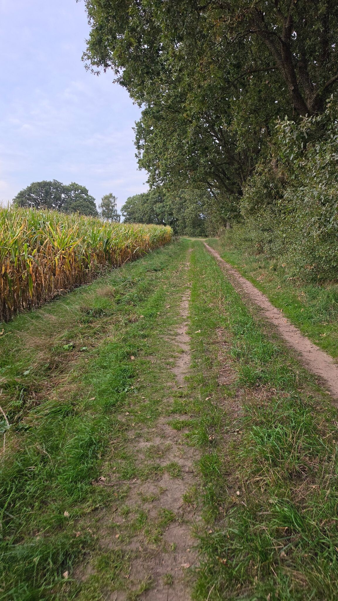 Zweeloo - Wezup · Cultuurpad Coevorden etappe 8