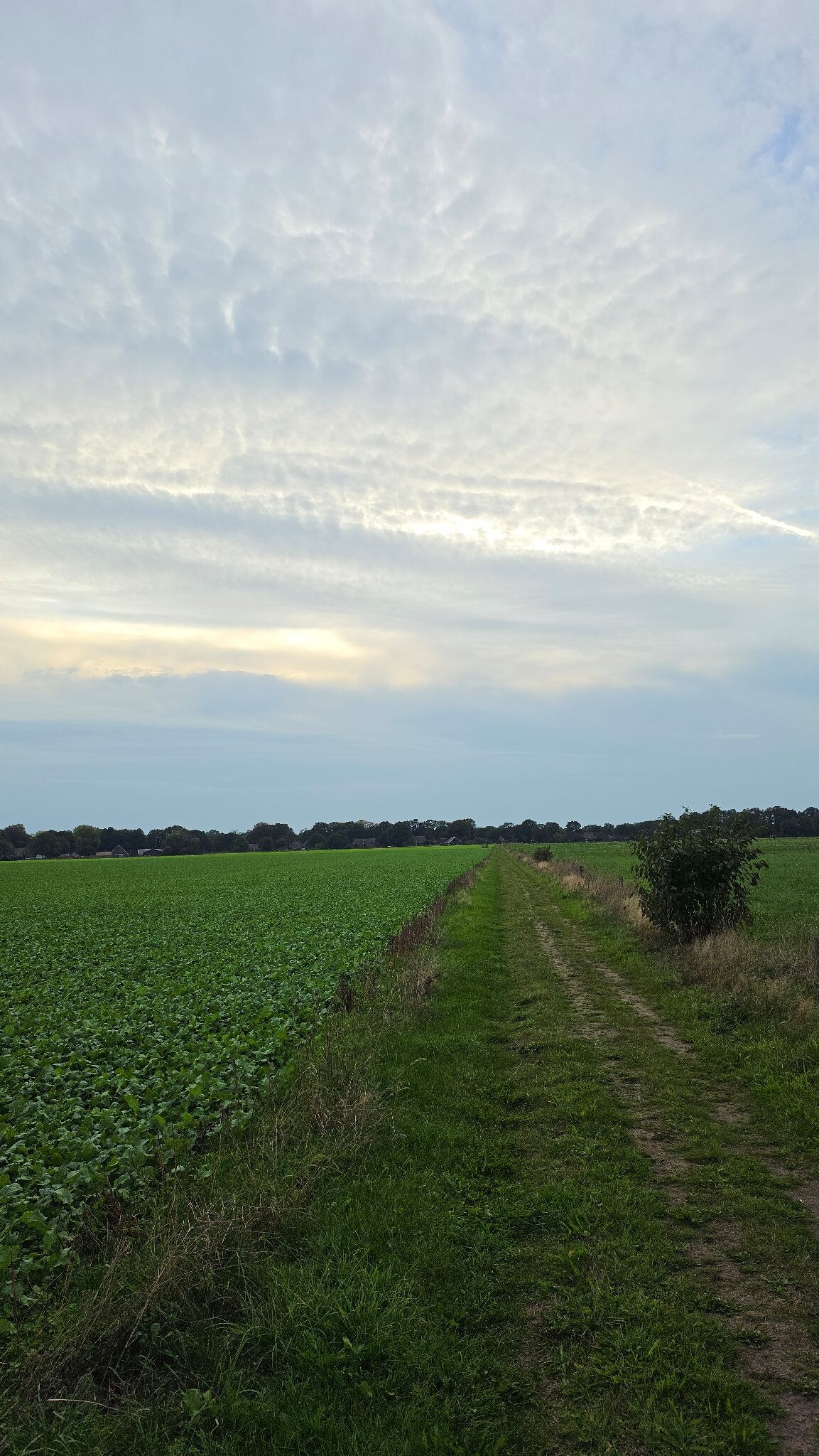 Foto van opname