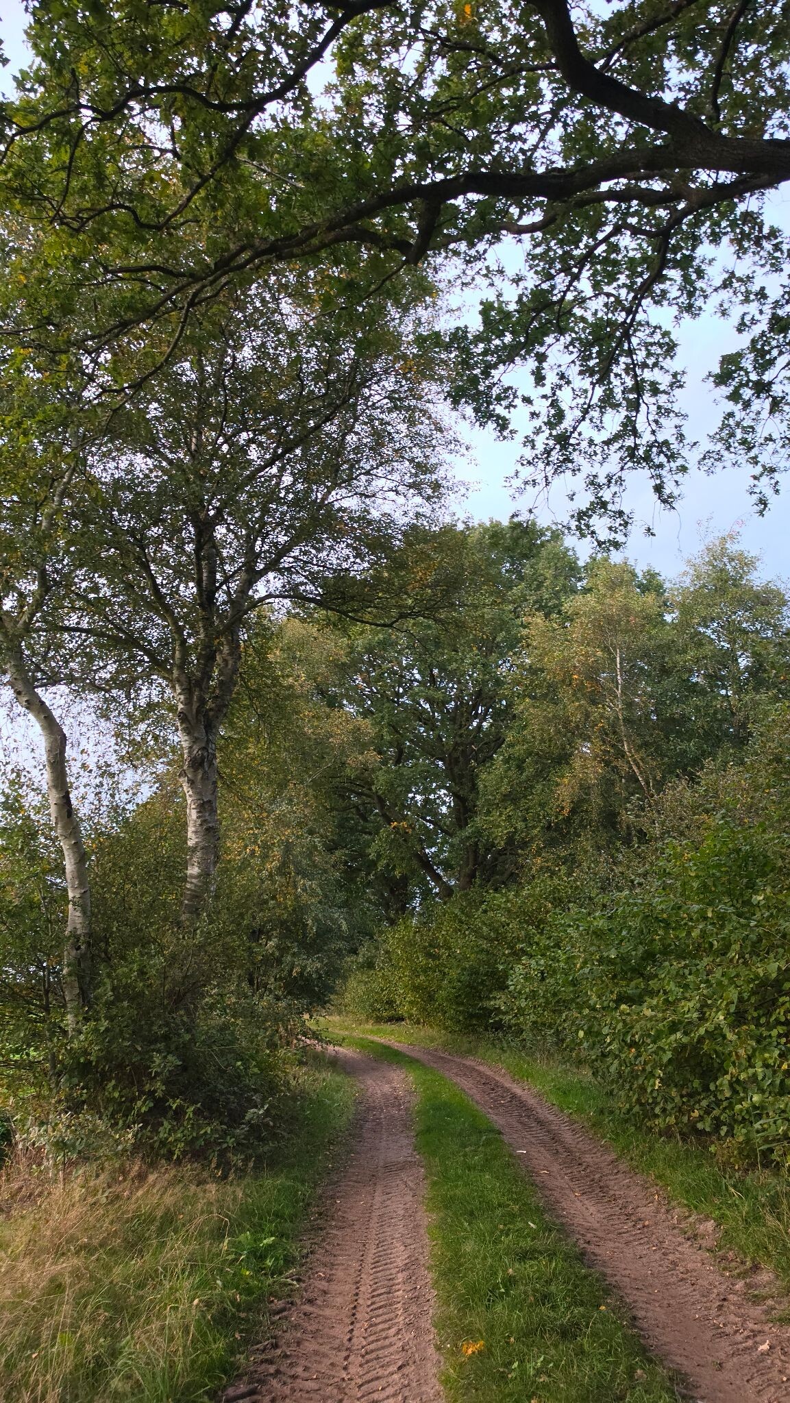 Foto van opname
