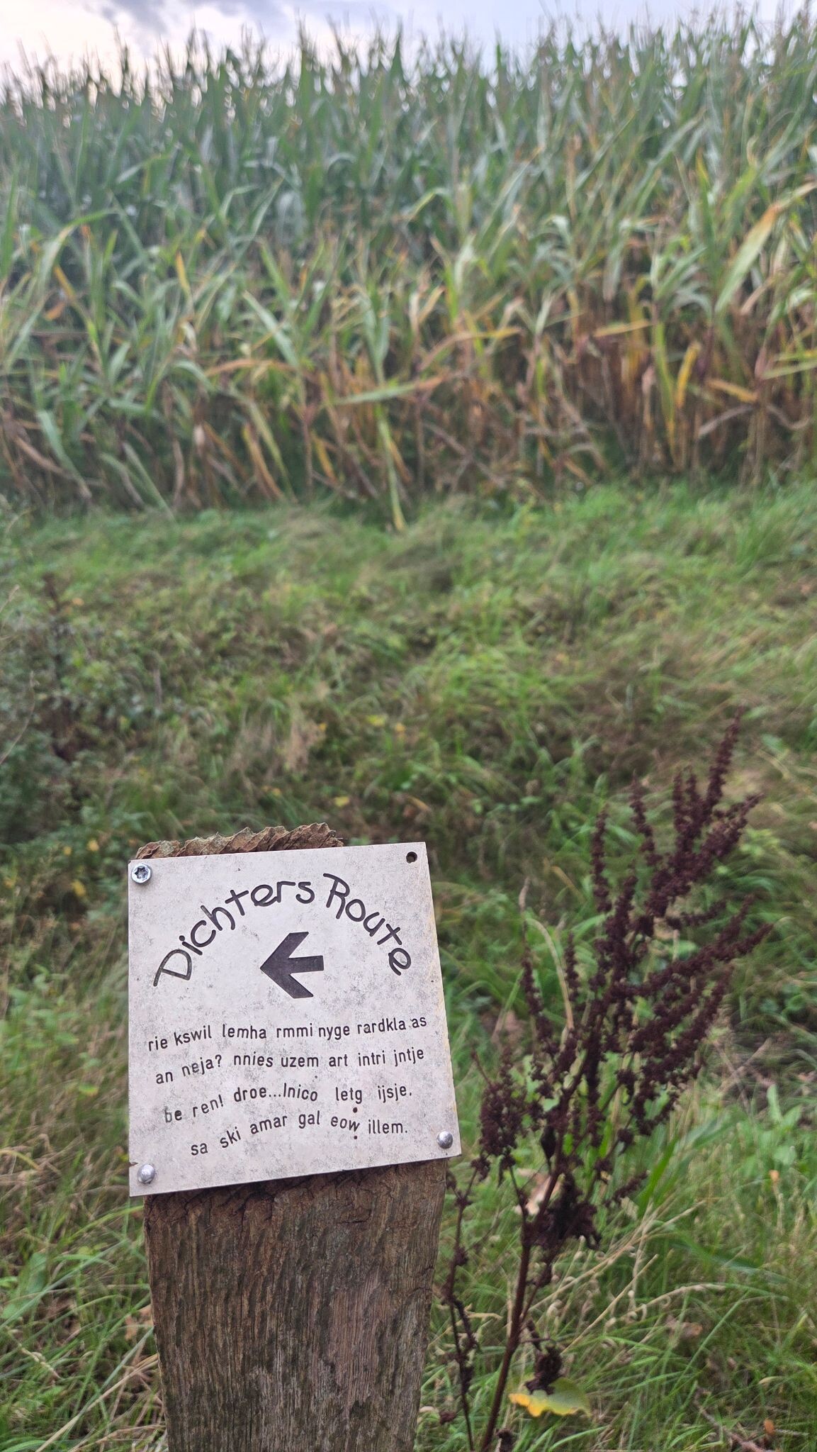 Foto van opname