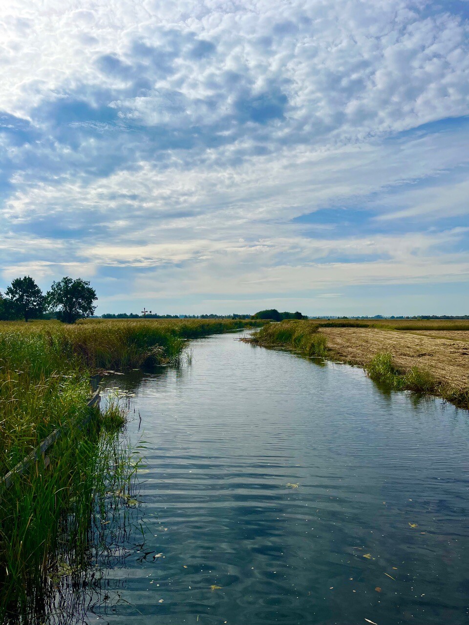 Nederland