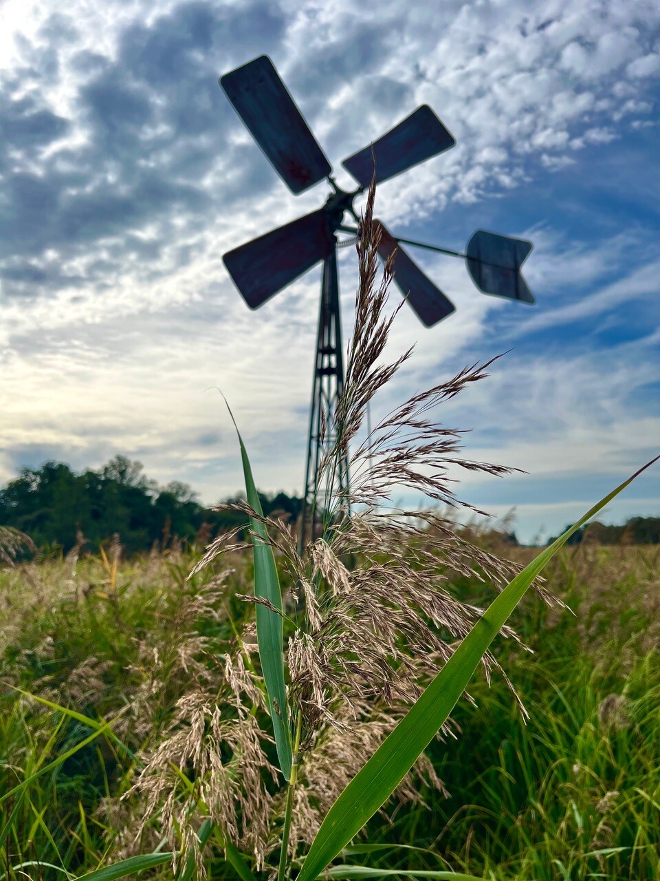 Vollenhove - Ossenzijl · Zuiderzeepad etappe 18