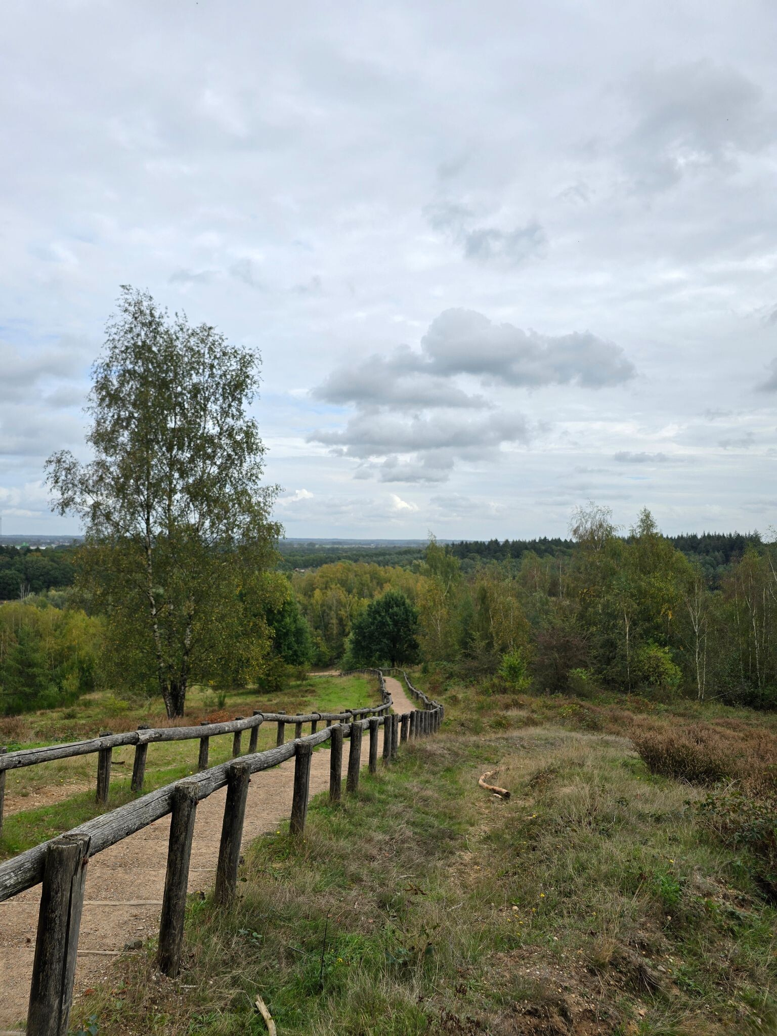 Gevarieerde korte wandeling Kwintelooijse trappen