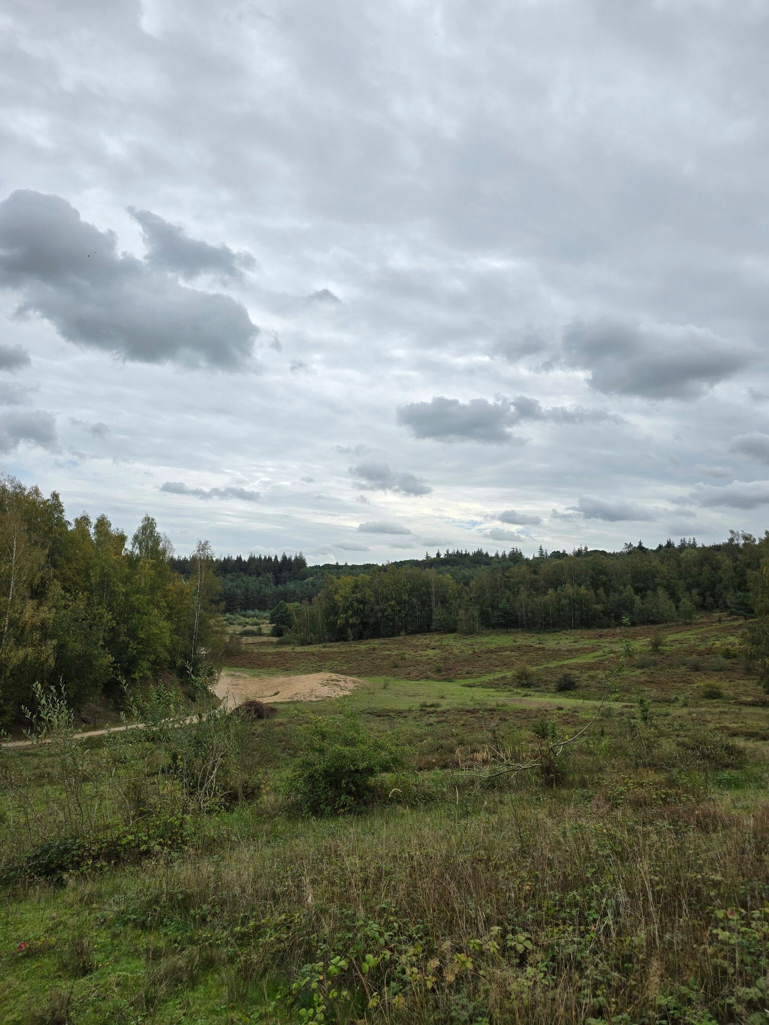Gevarieerde korte wandeling Kwintelooijse trappen
