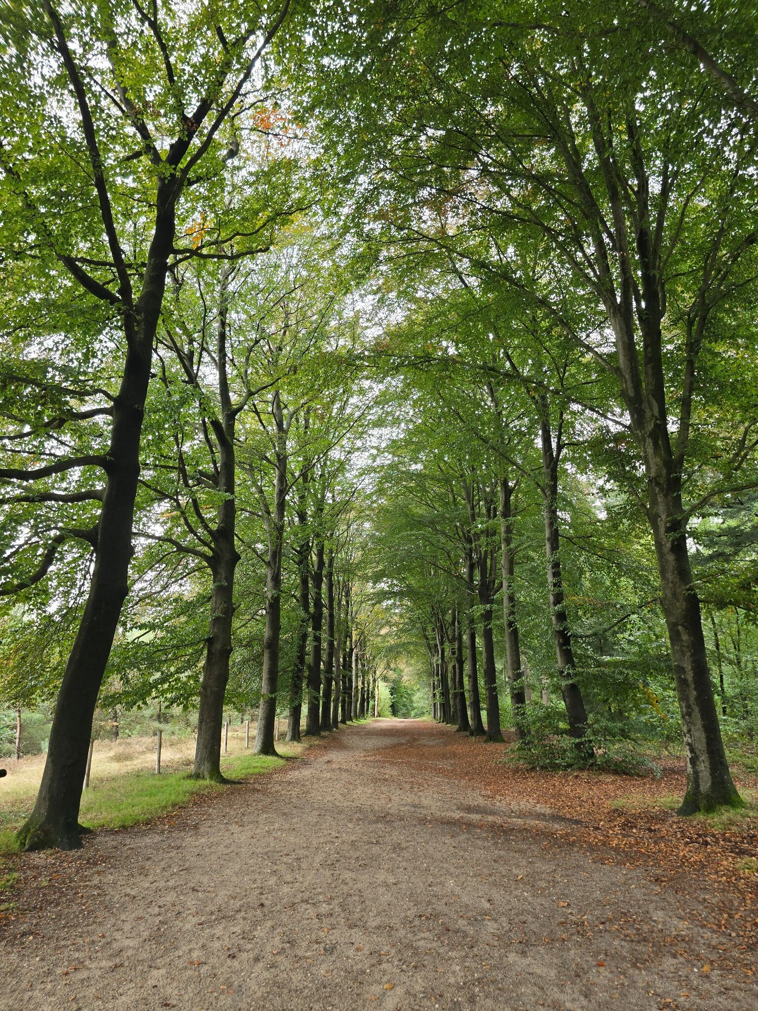 Veenendaal Prattenburg - Rhenen · Pad van de Vrijheid etappe 12
