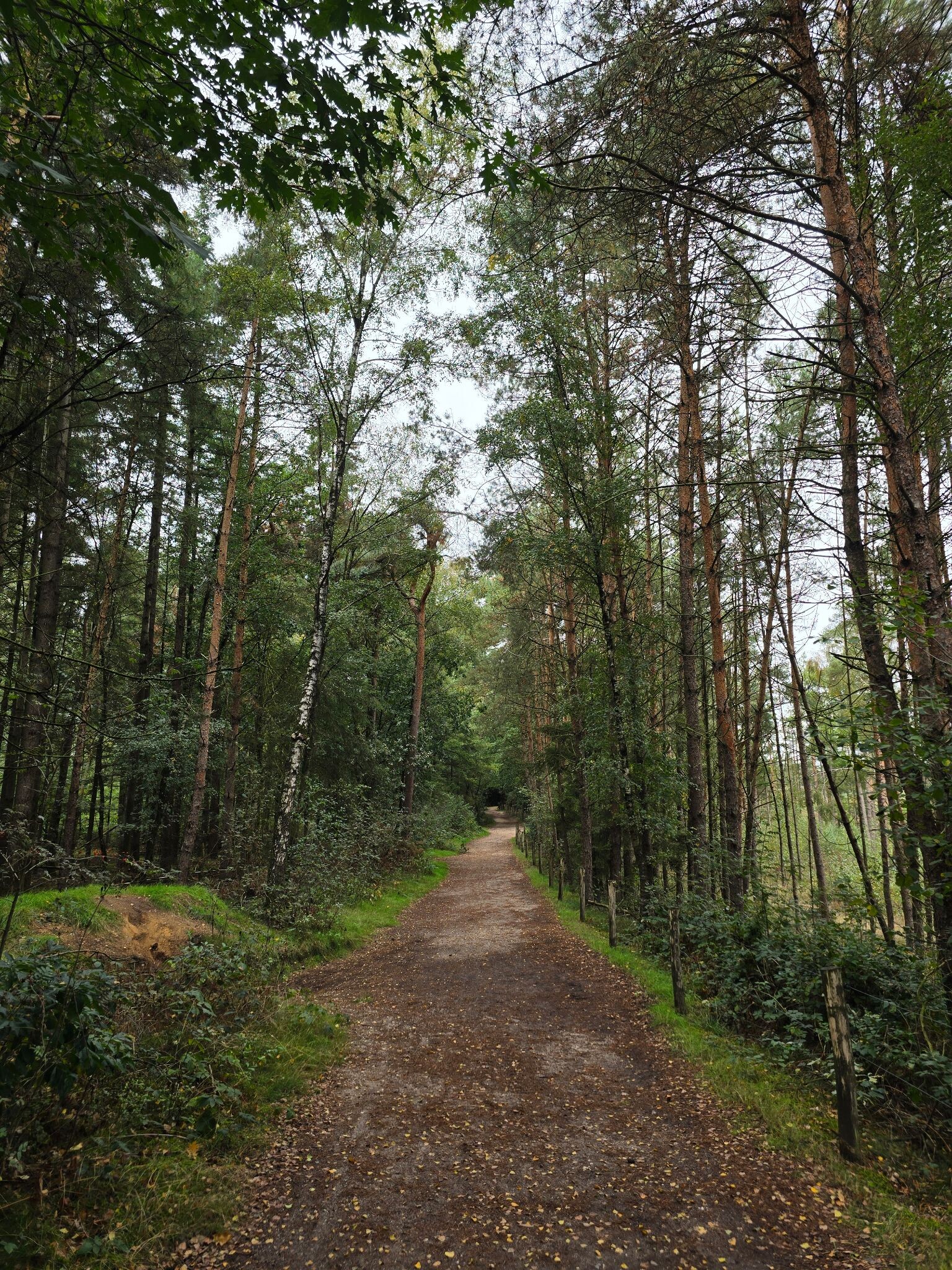 Doorn - Rhenen · Gelukkigerwijspad etappe 2