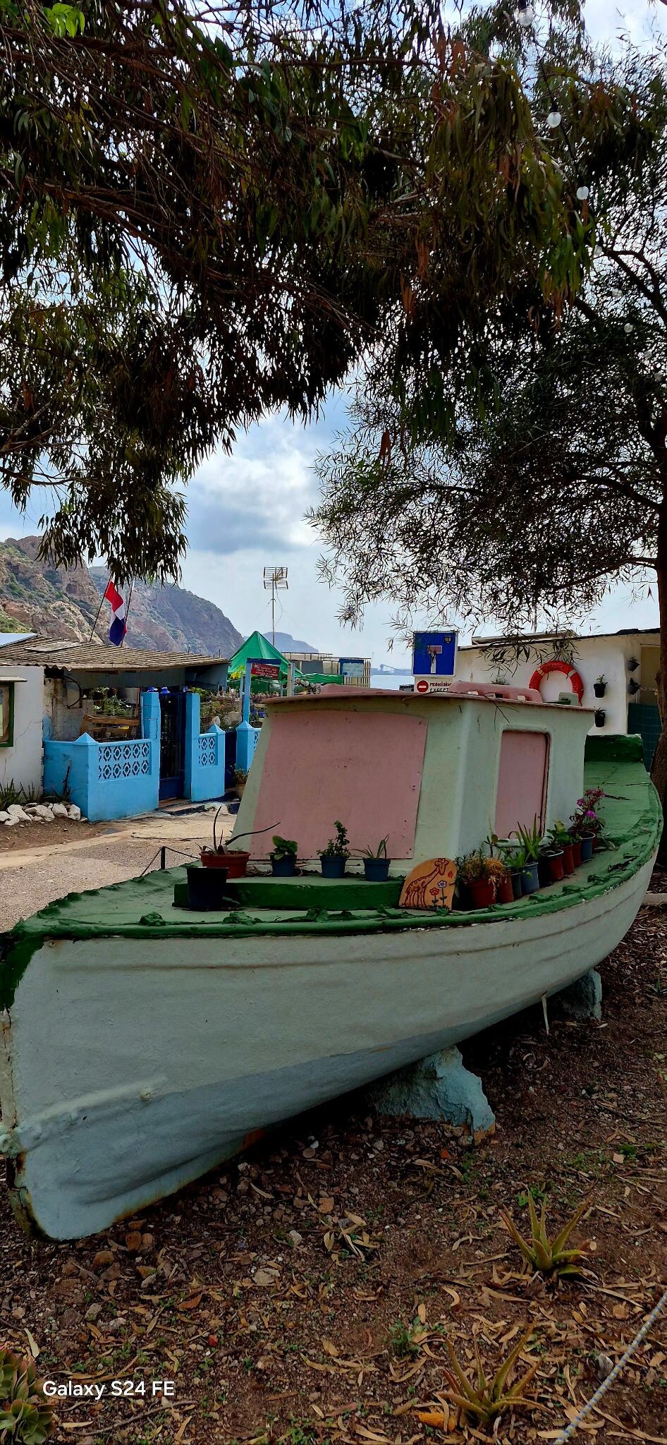 La Algamenca Chica, Cartagena