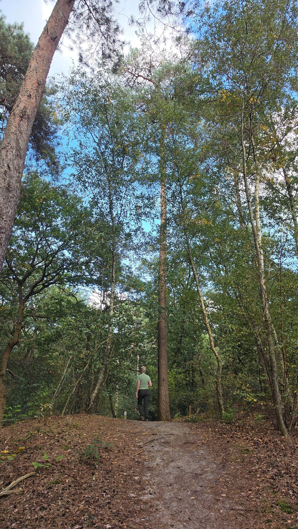 Verrassend mooie route