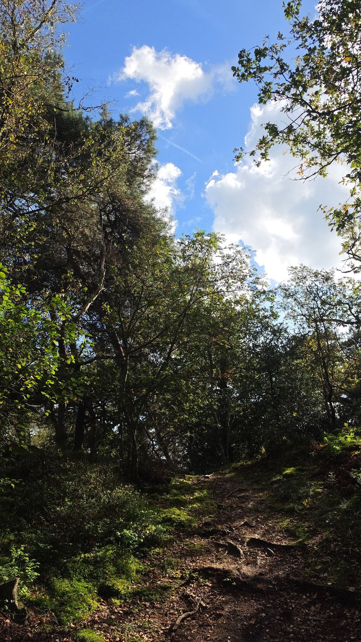 Verrassend mooie route