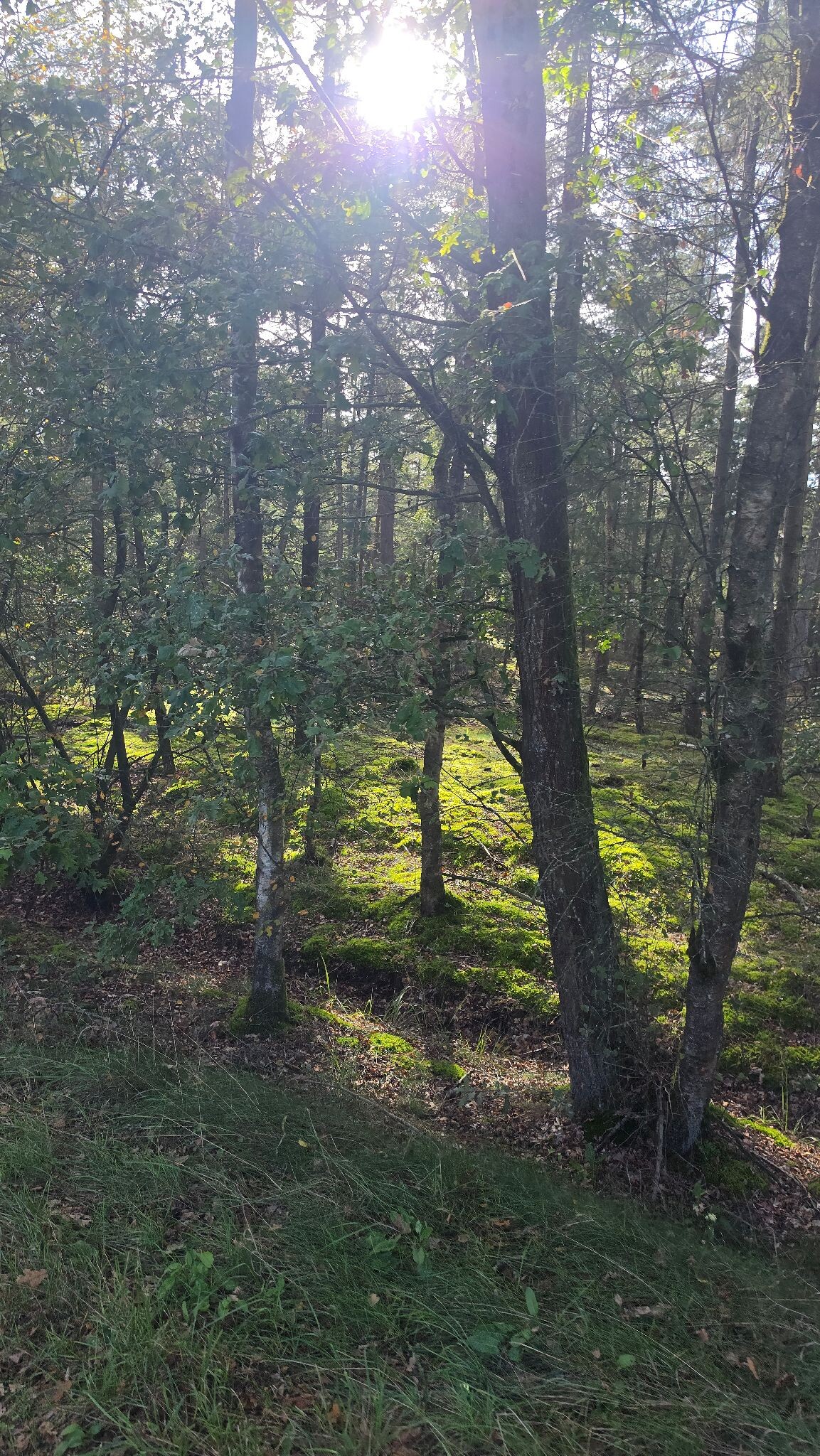 Verrassend mooie route