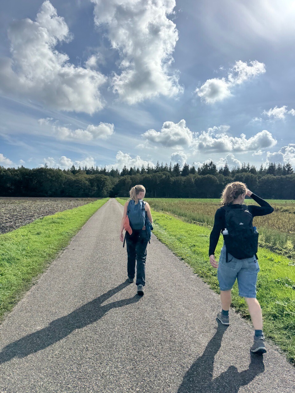 Schoonloo - Sleen · Pieterpad etappe 6