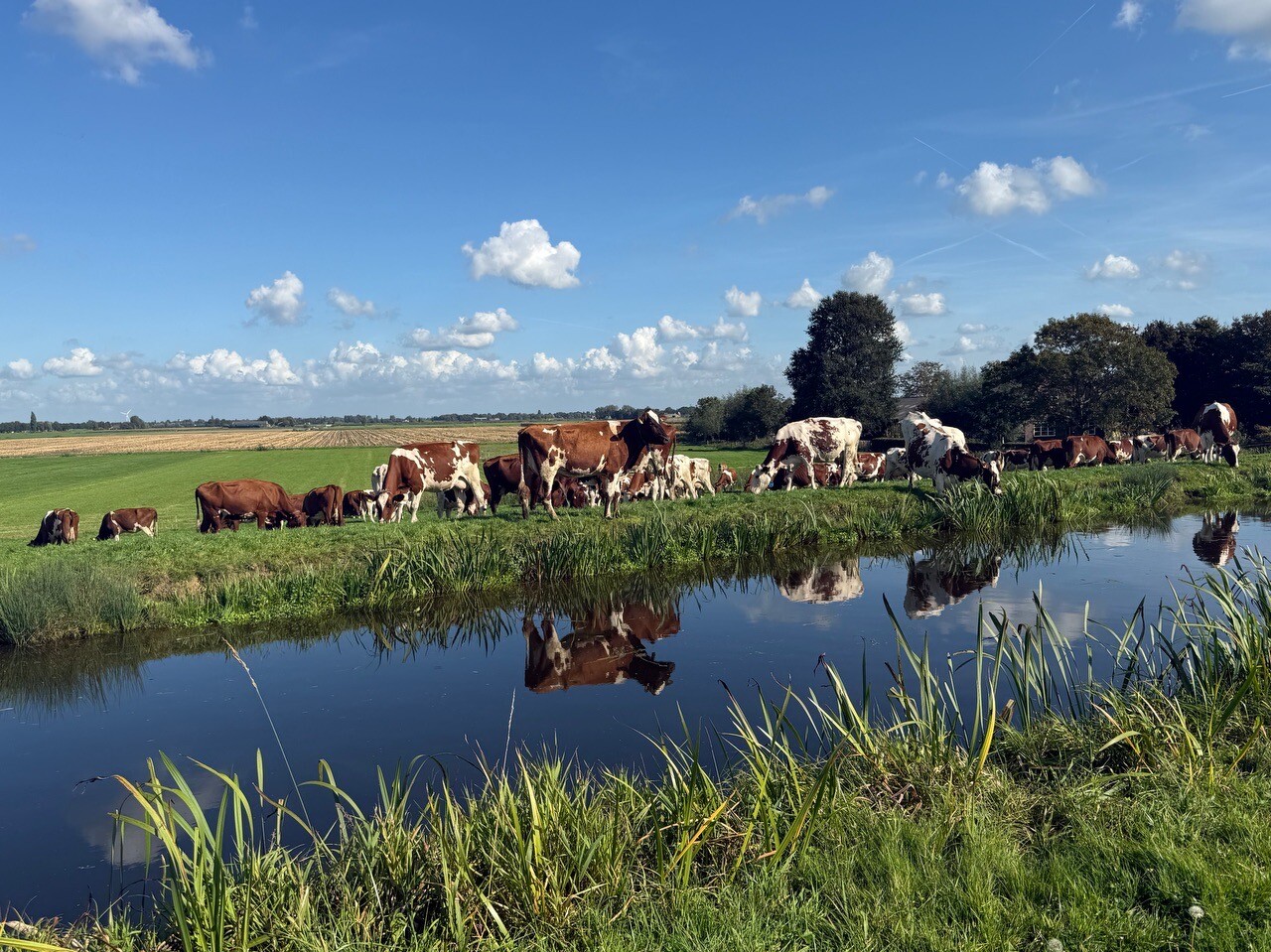 Noorden - Rijnsaterwoude · Marskramerpad etappe 17