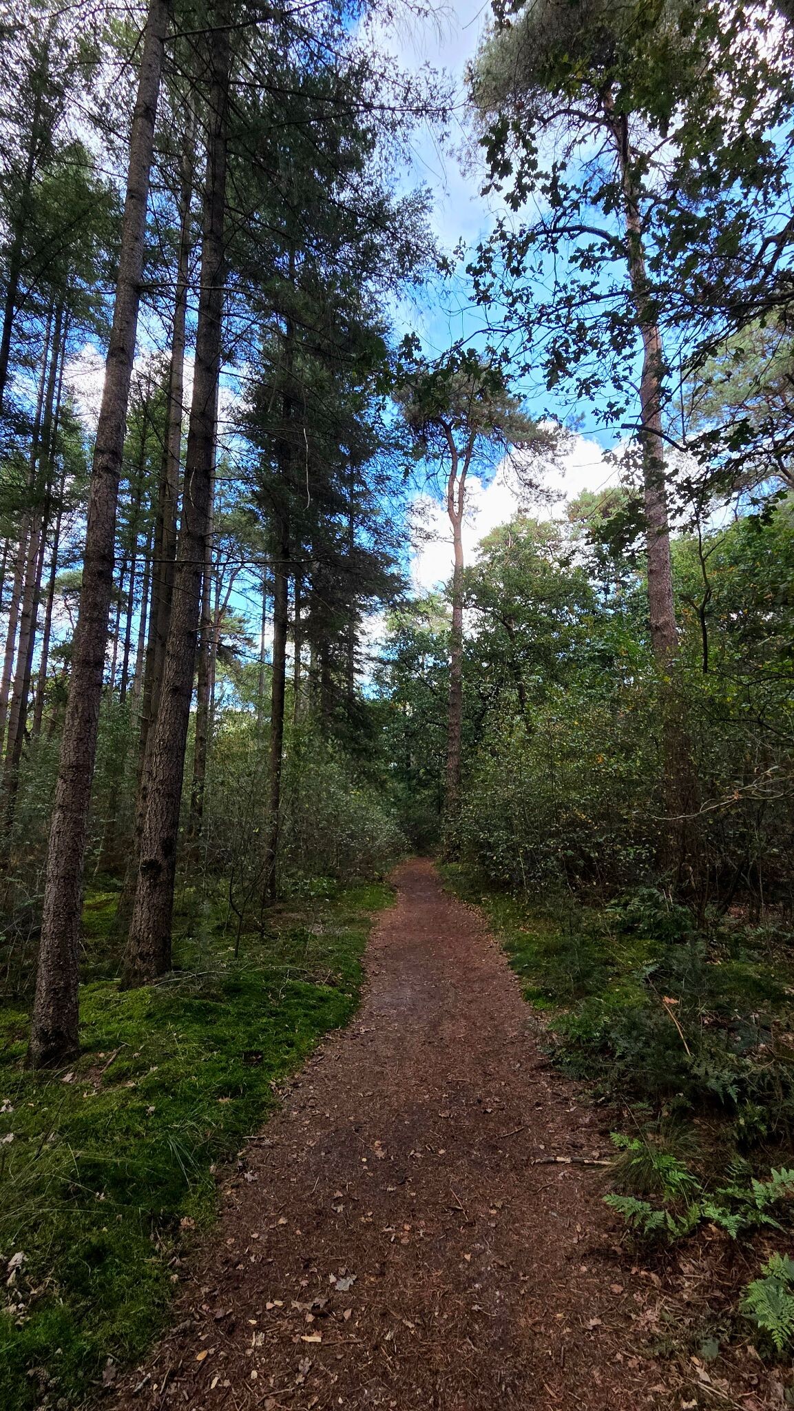 Foto van opname