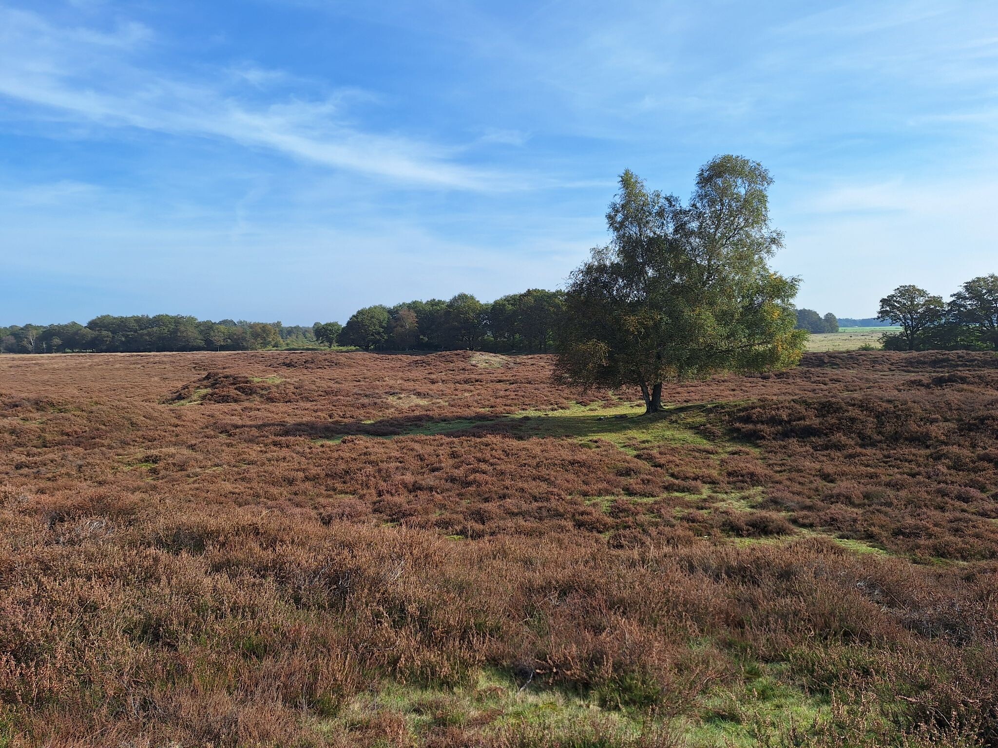 Pieterpad Etappe 4: Zuidlaren > Rolde