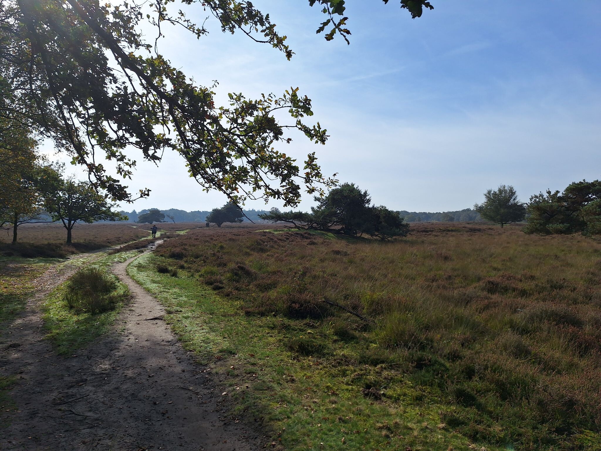 Wandelroute Anlooërdiep