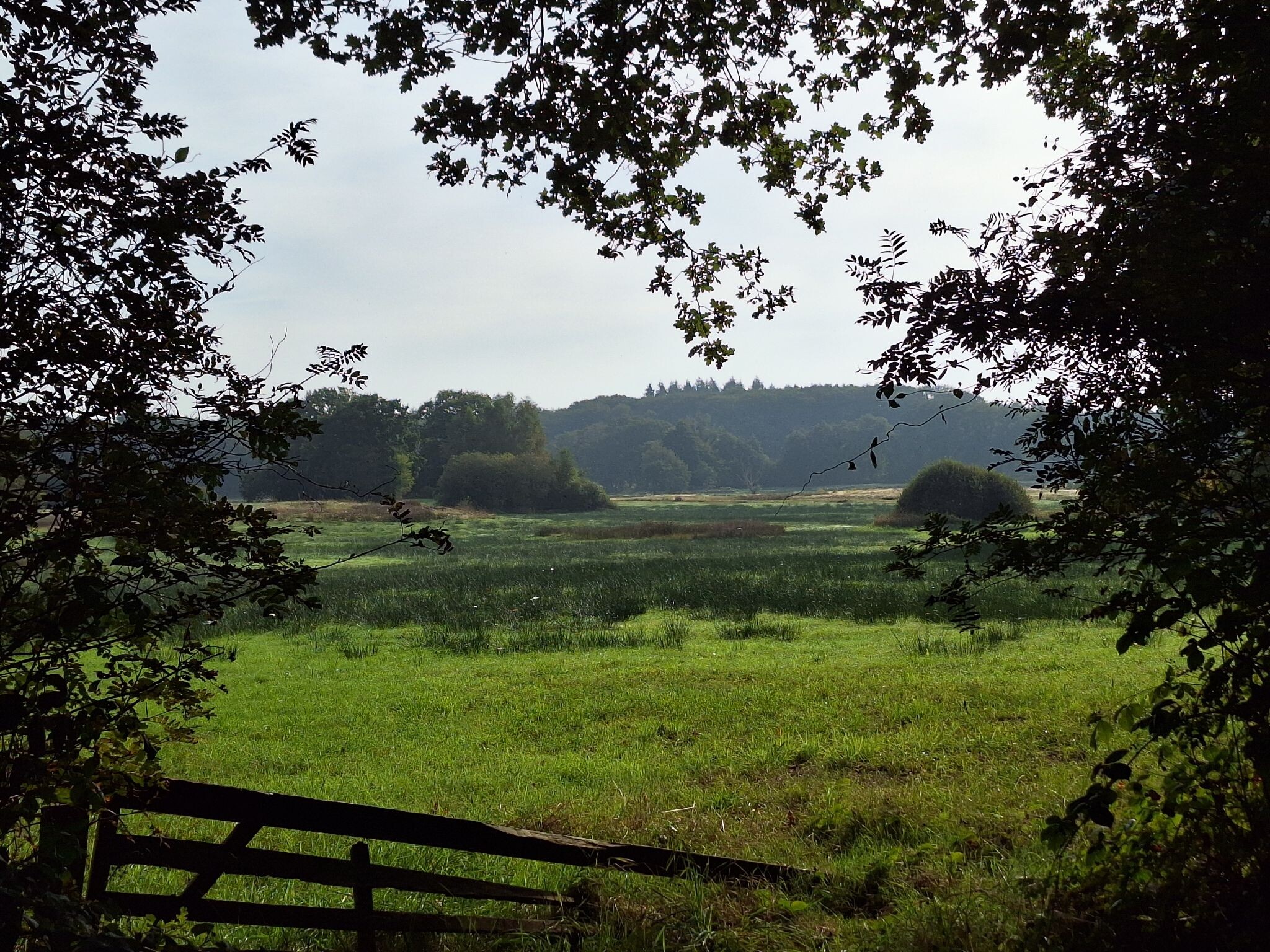 Pieterpad Etappe 4: Zuidlaren > Rolde