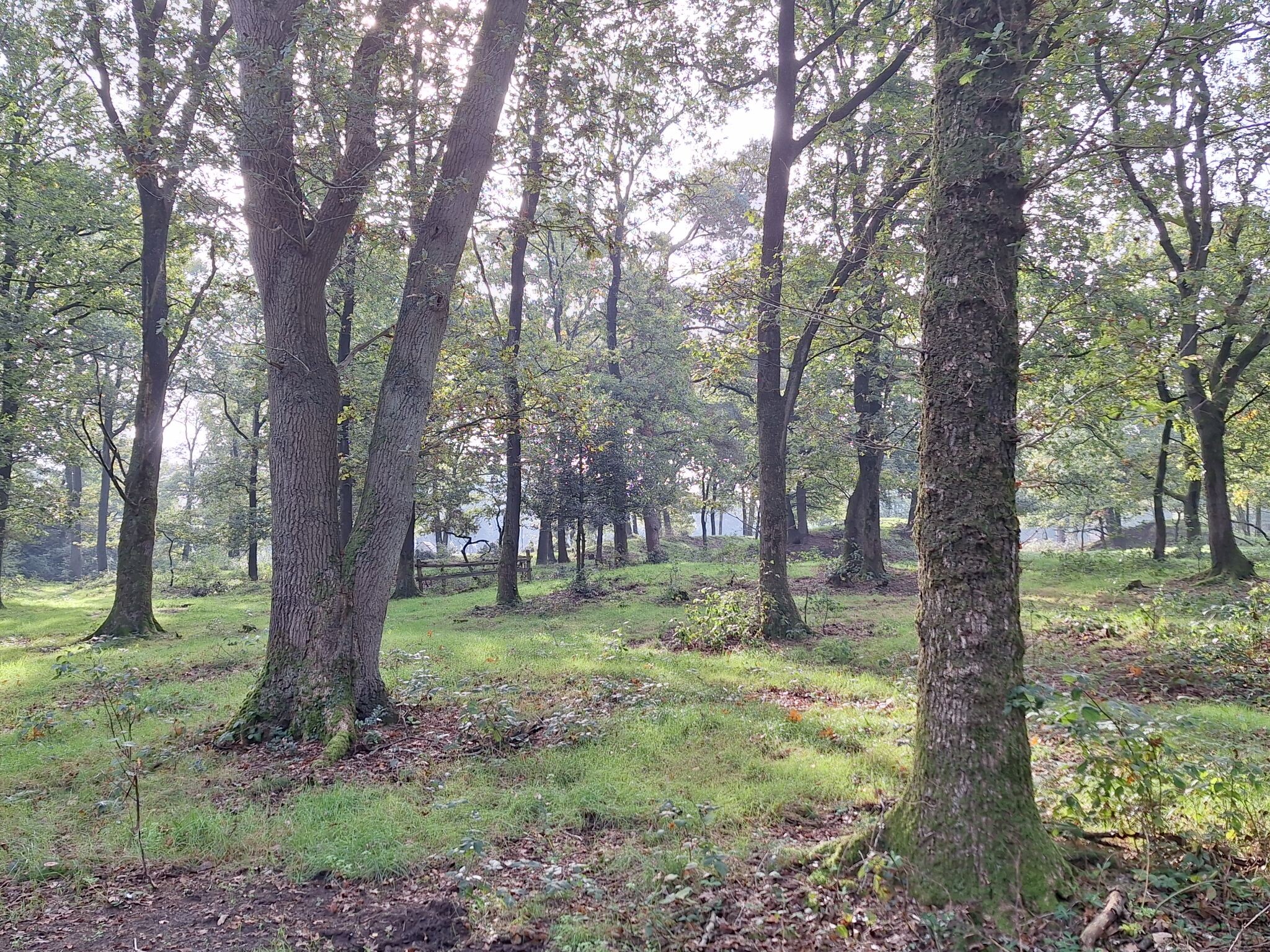 Pieterpad Etappe 4: Zuidlaren > Rolde