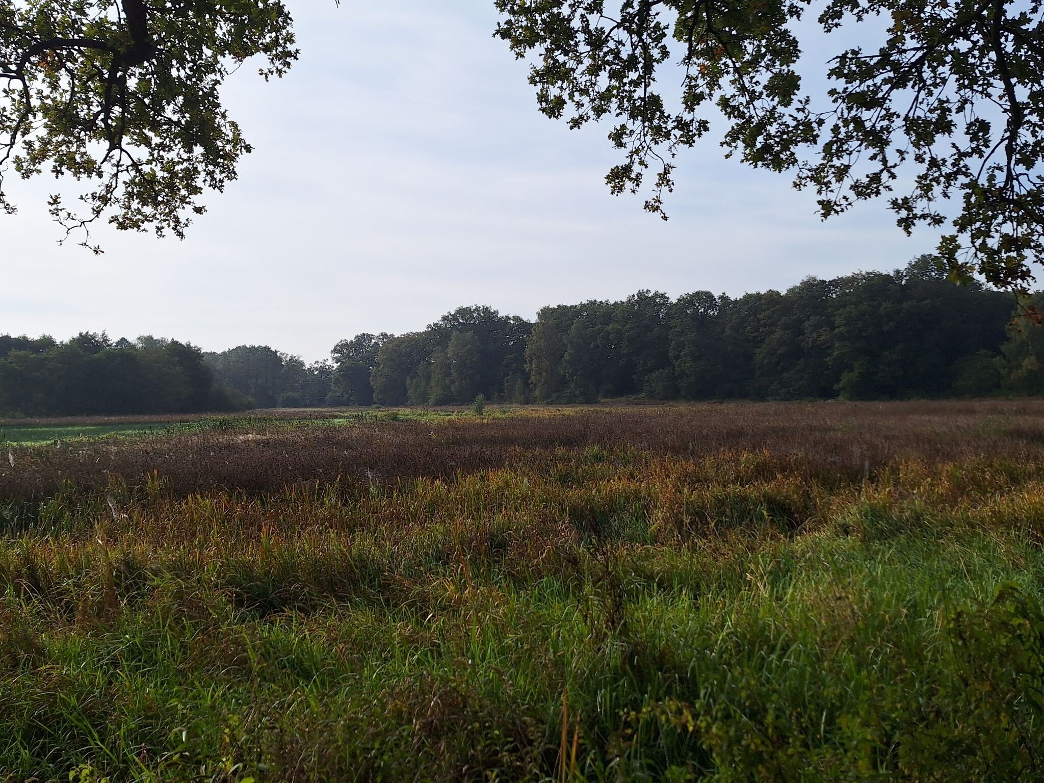 Pieterpad Etappe 4: Zuidlaren > Rolde