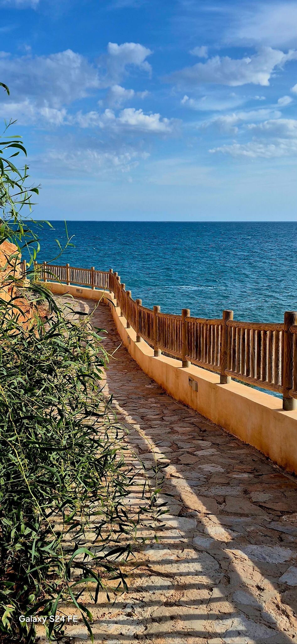 Cabo Roig