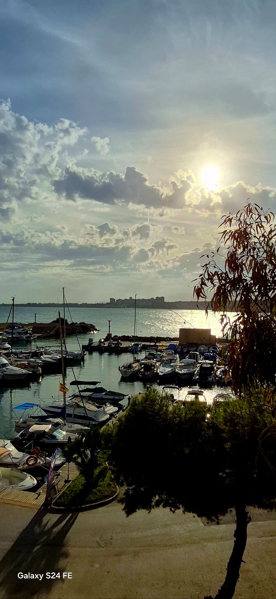 Cabo Roig