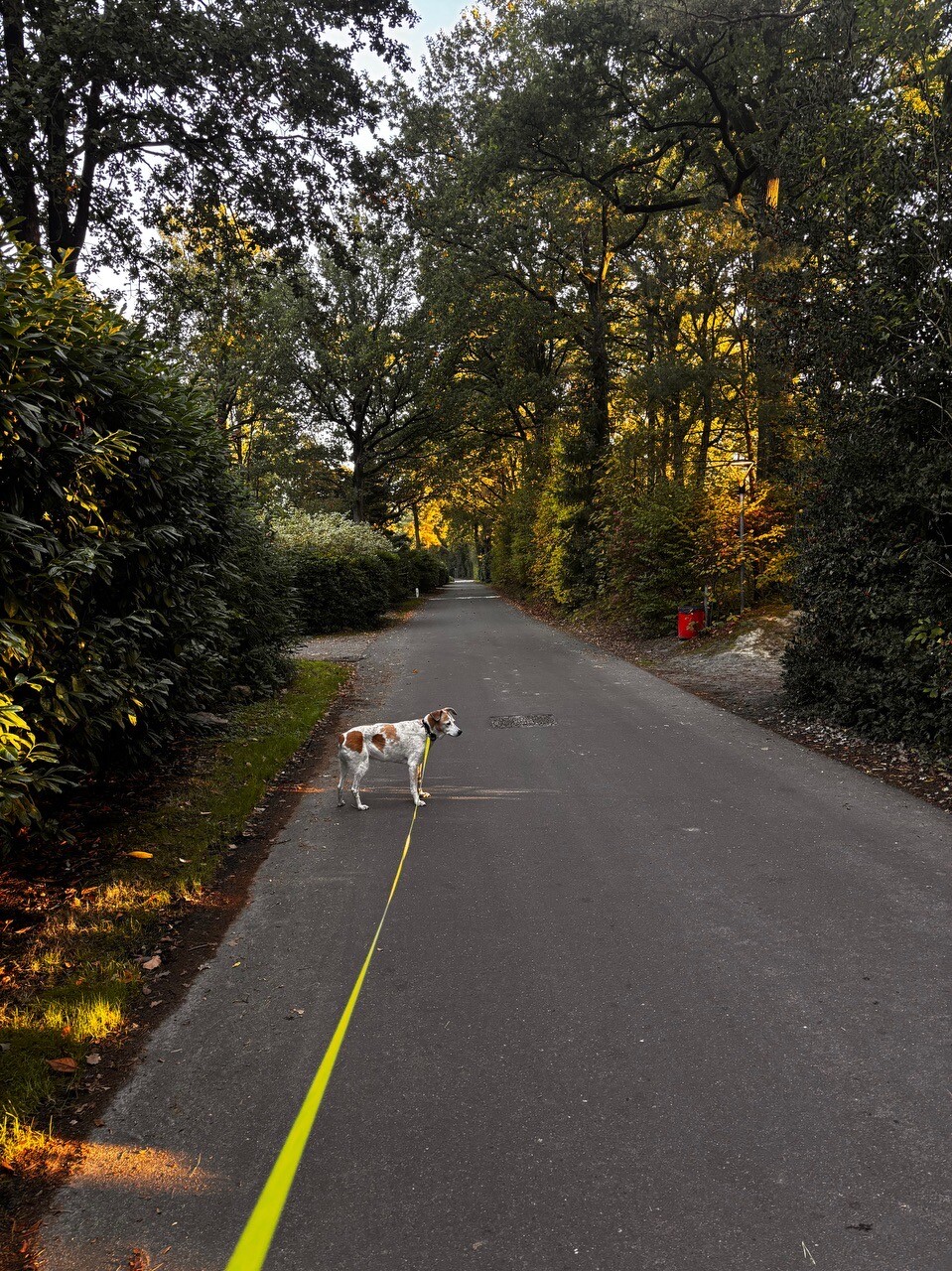 Foto van opname