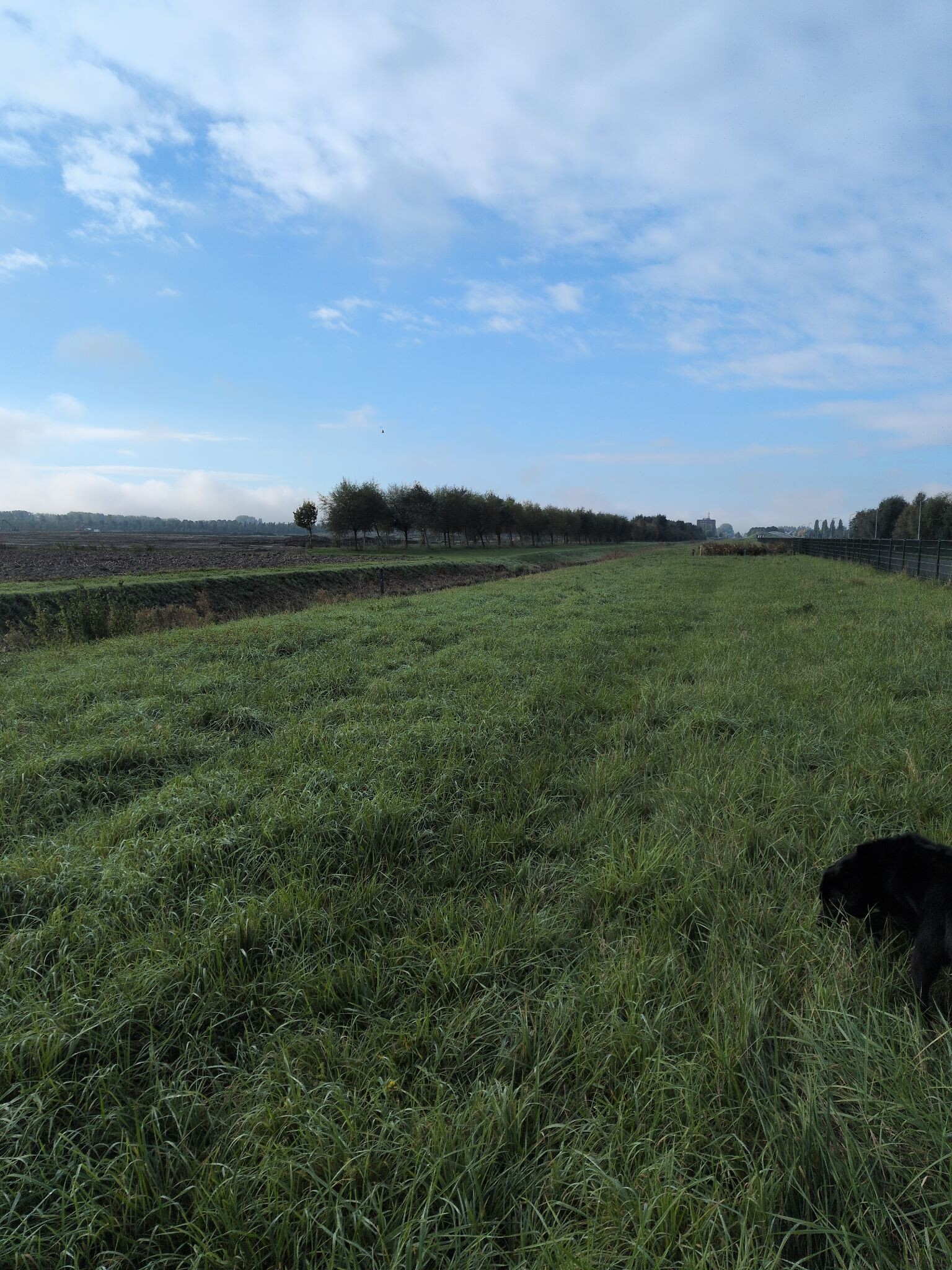 Hoofddorp