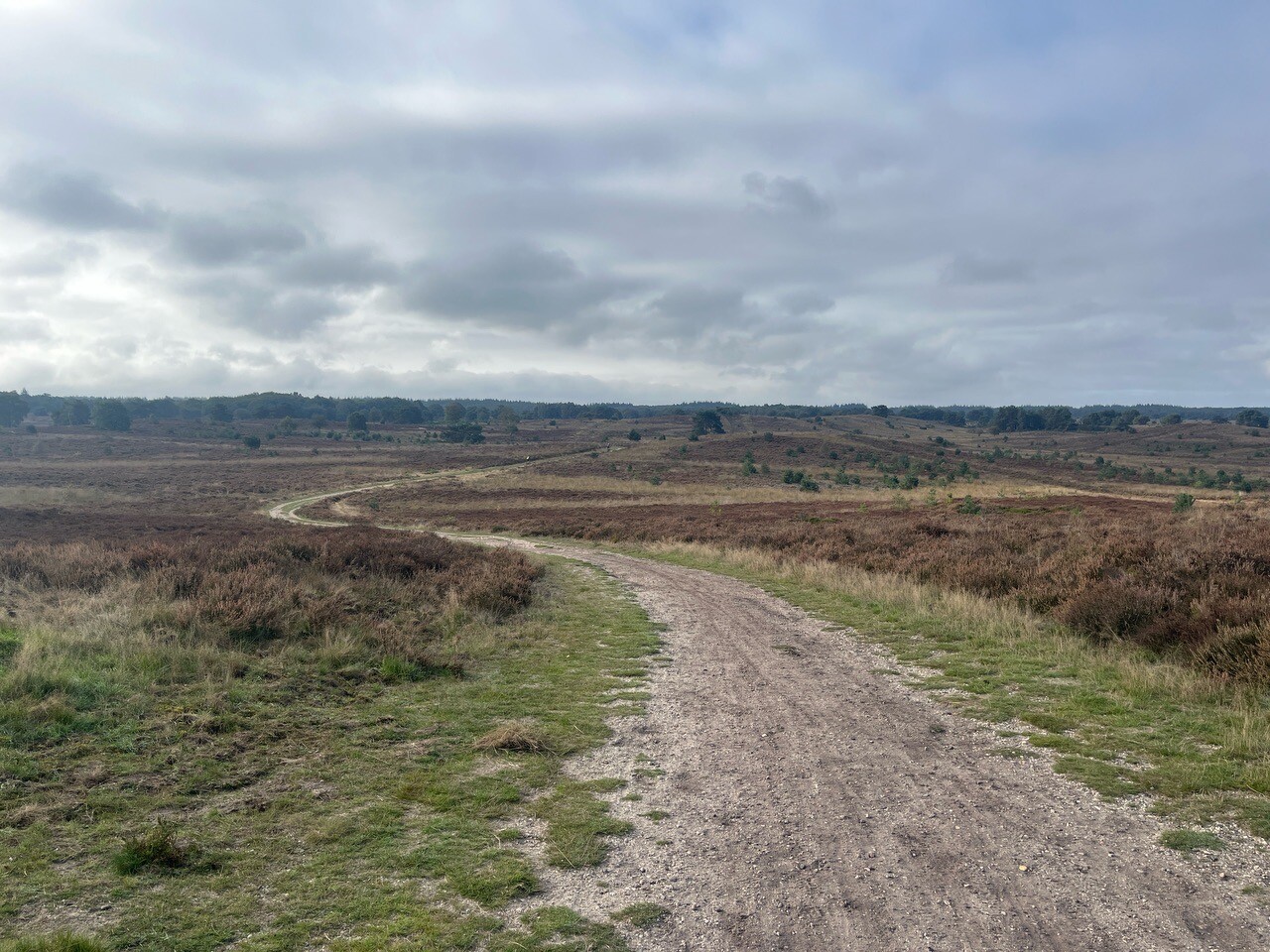 Elspeet - Vierhouten · Veluwe Zwerfpad etappe 10