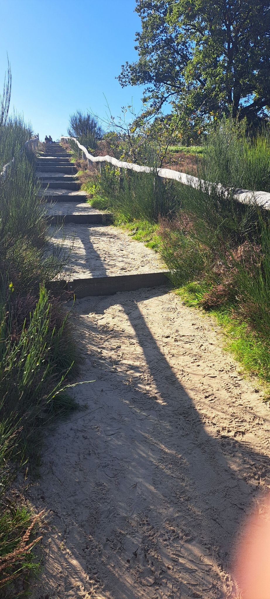 Oorlogsroute Havelte