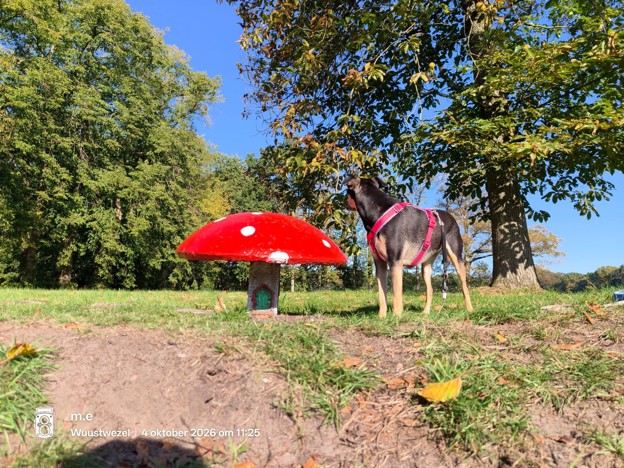 Erfgoedwandelroute Damme