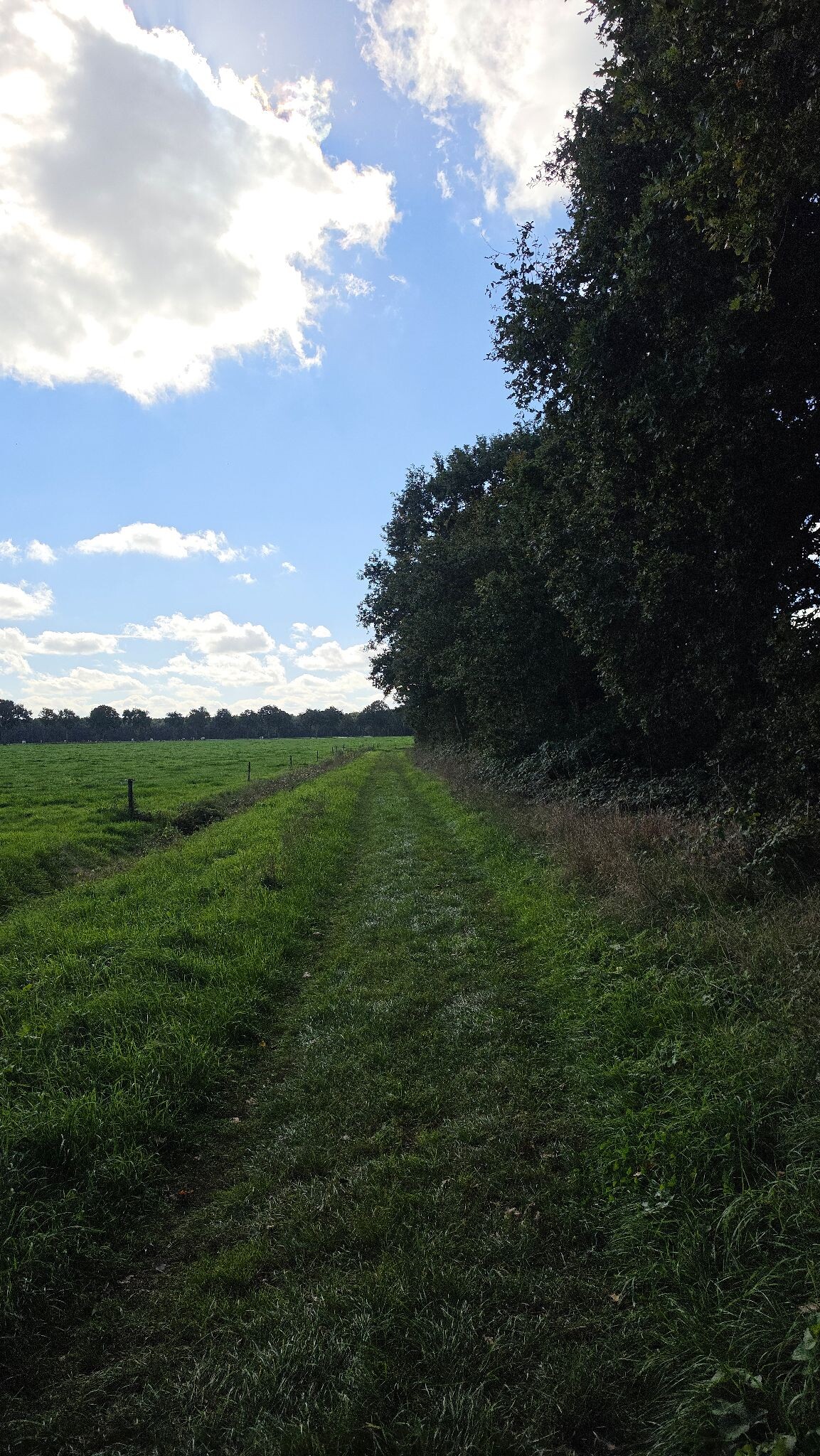 Foto van opname