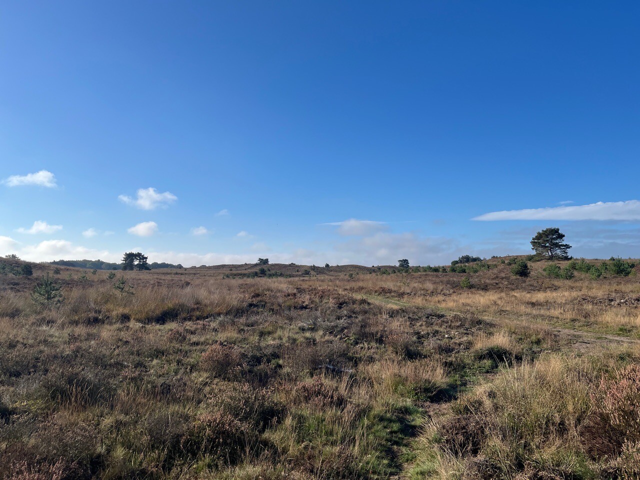 Rondje vossenberg noorder heide (incl piramides)