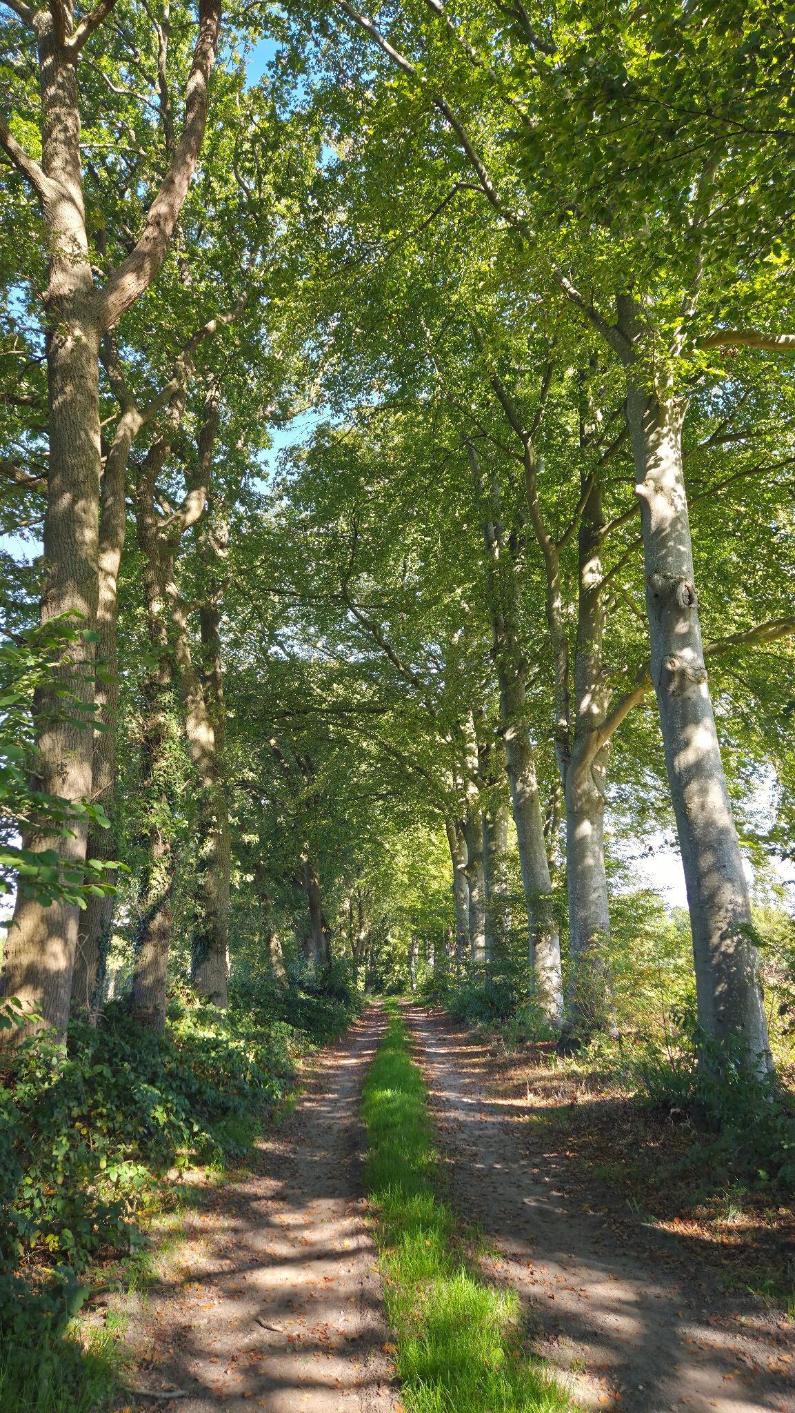 Deurzerdiep blauw