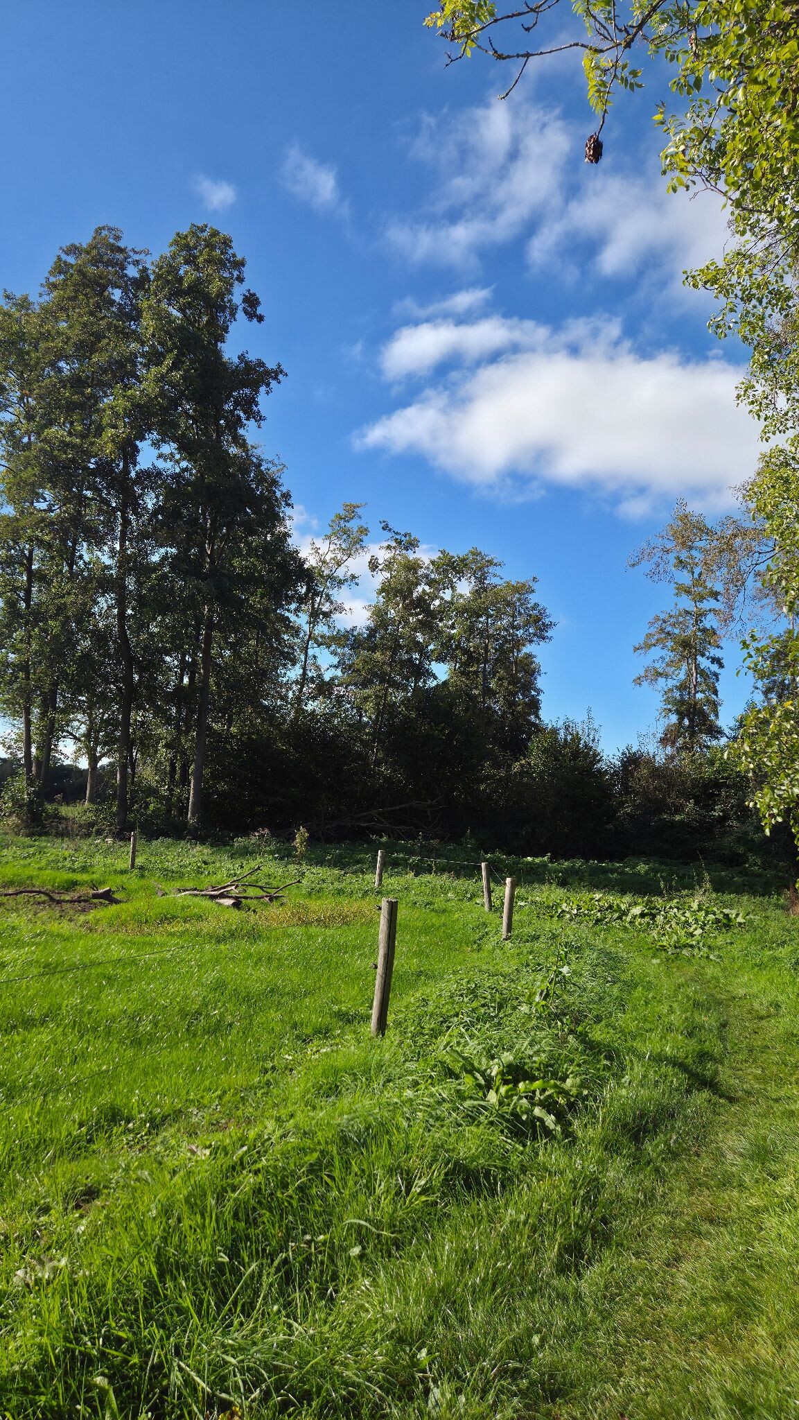 Deurzerdiep blauw