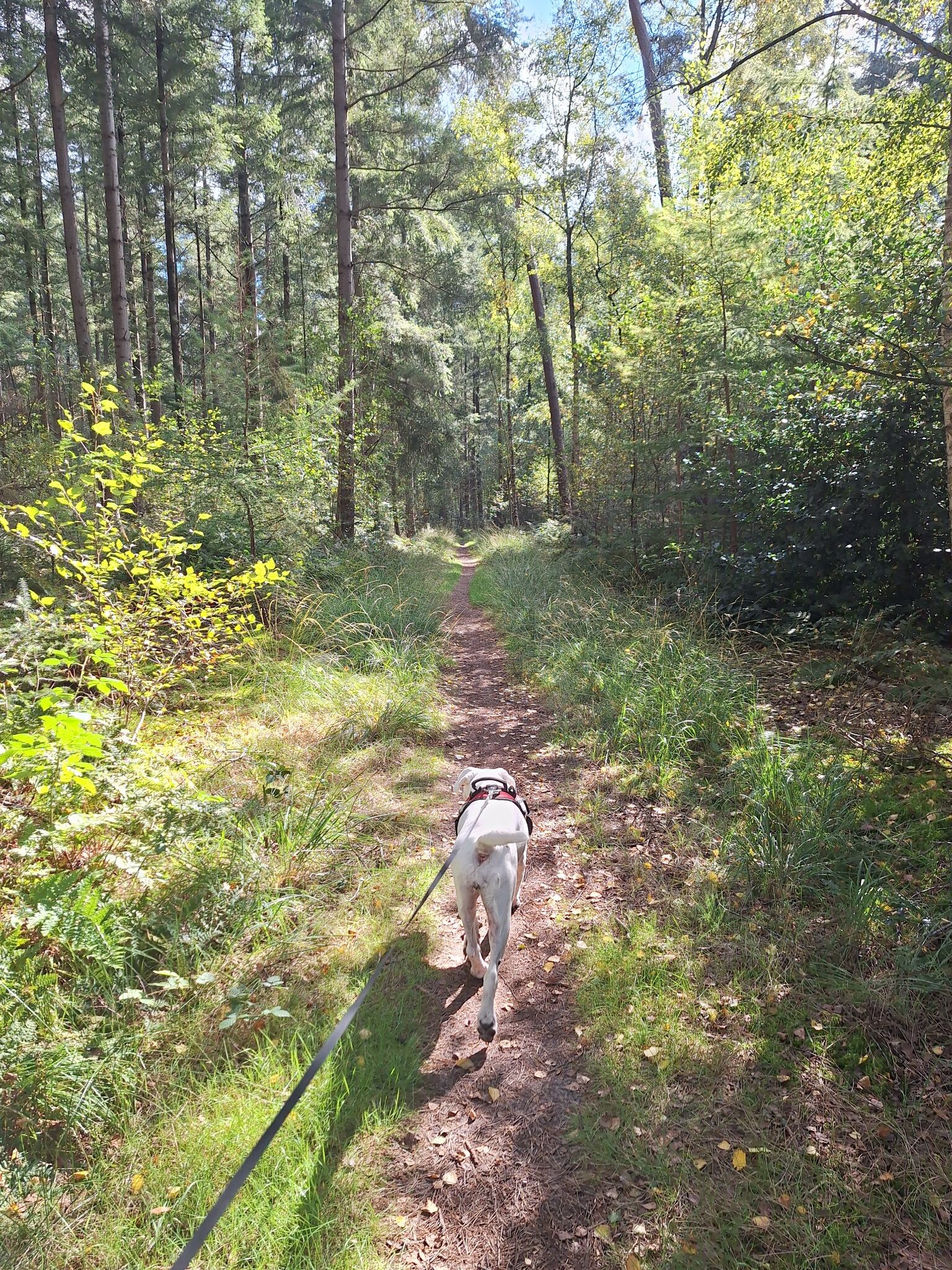 Foto van opname