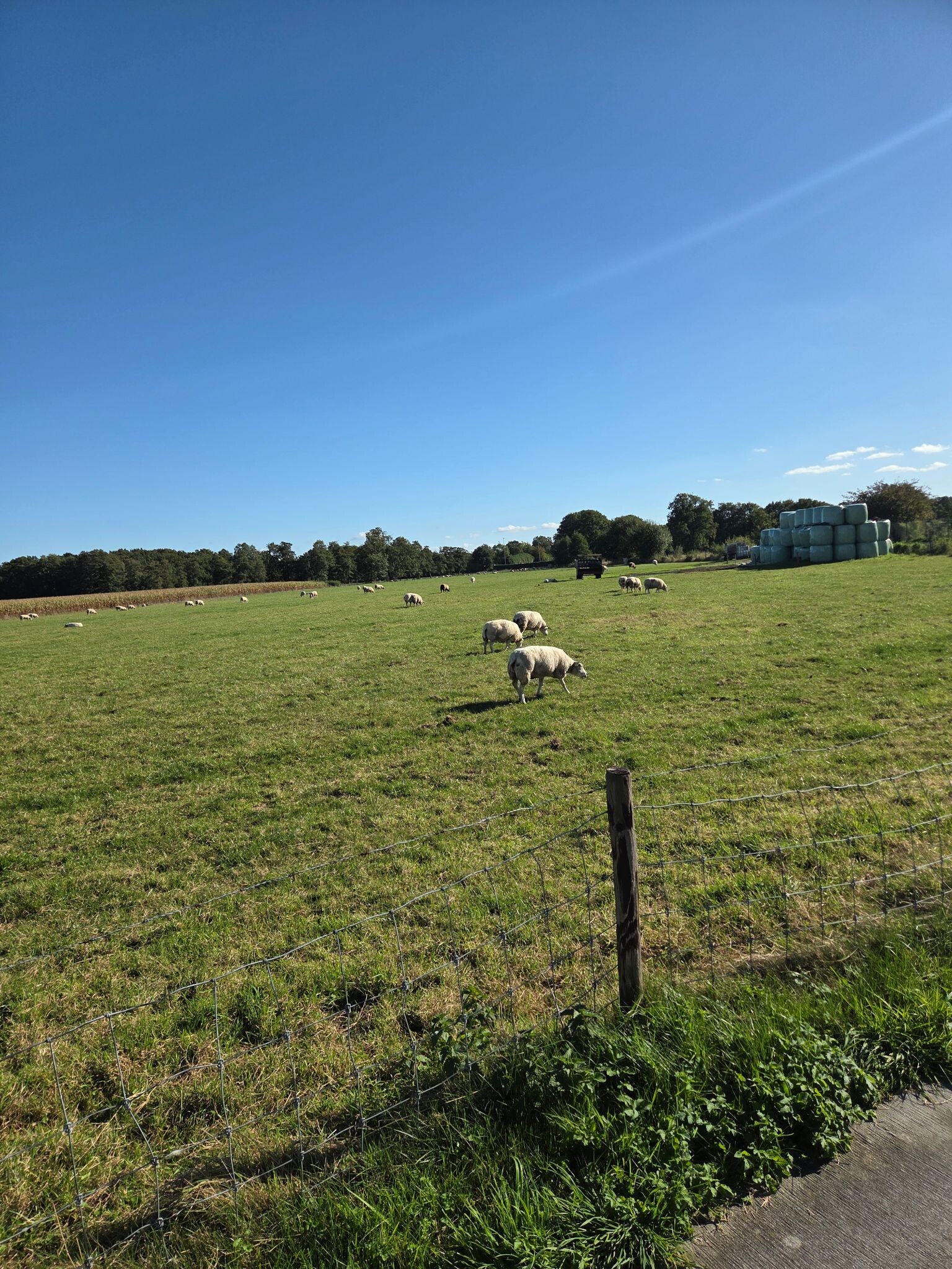 Foto van opname