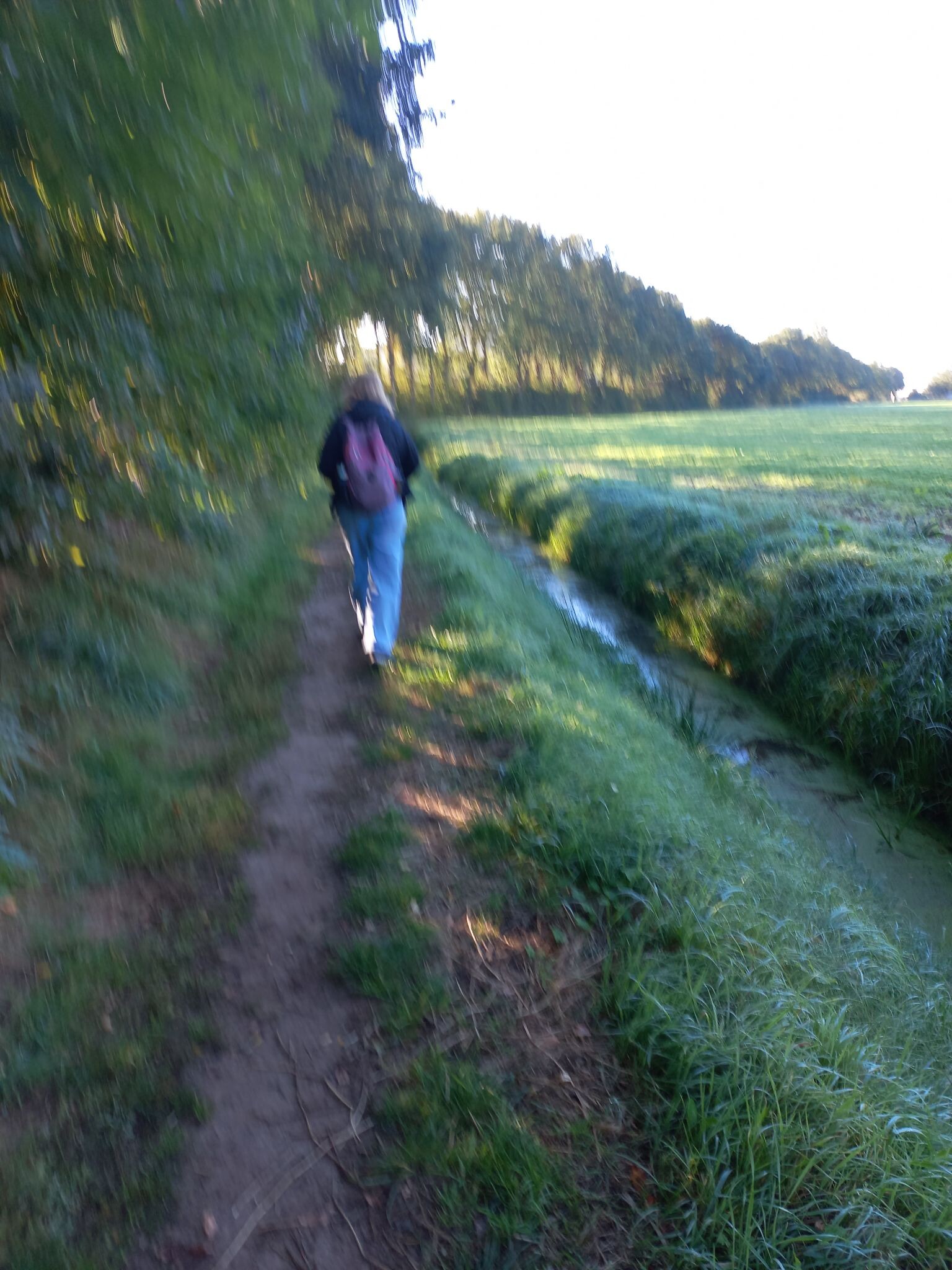 Coevorden - Hardenberg · Pieterpad etappe 8
