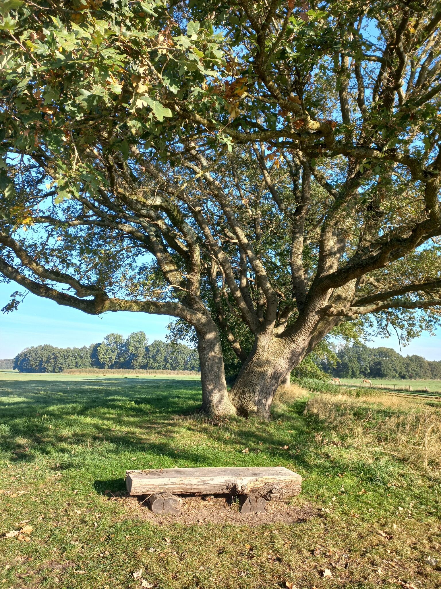 Hardenberg - Ommen · Pieterpad etappe 9