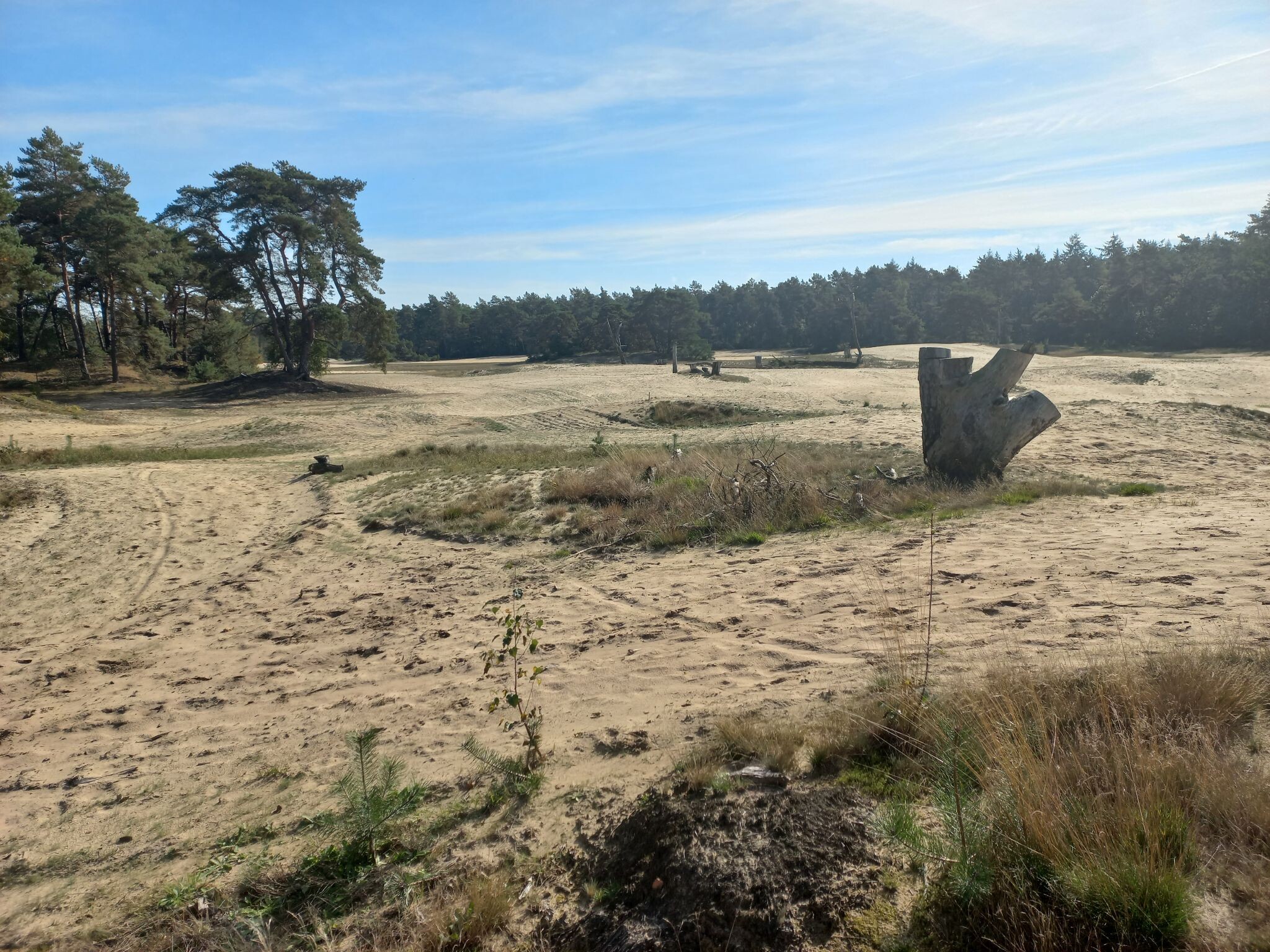 Hardenberg - Ommen · Pieterpad etappe 9