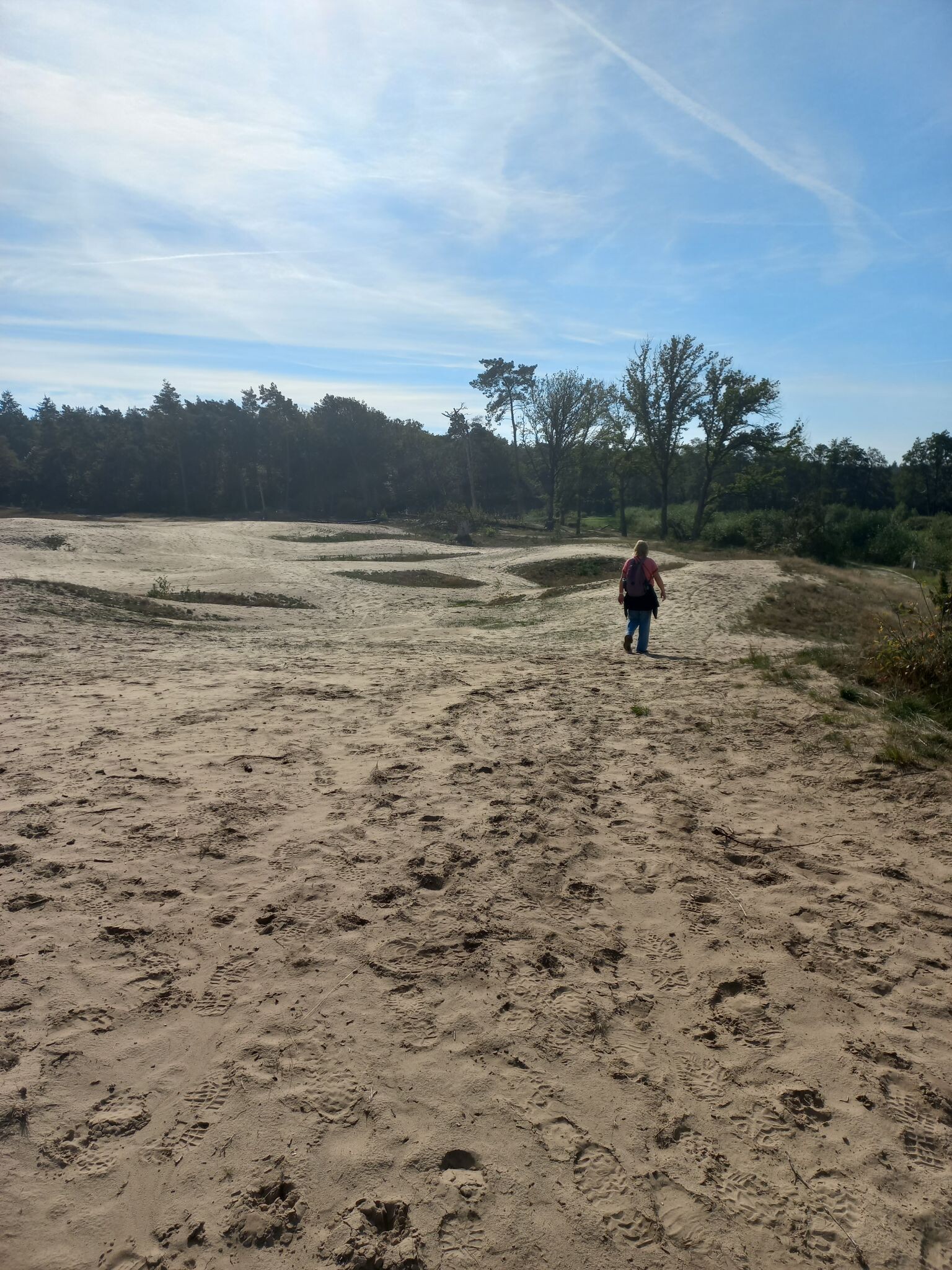 Hardenberg - Ommen · Pieterpad etappe 9