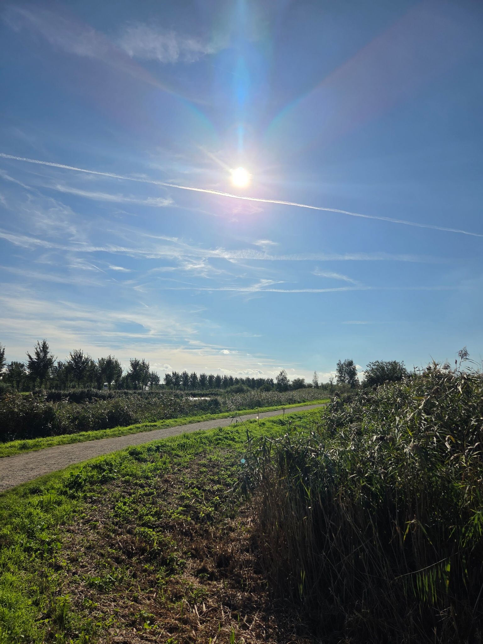 Lansingerland walk