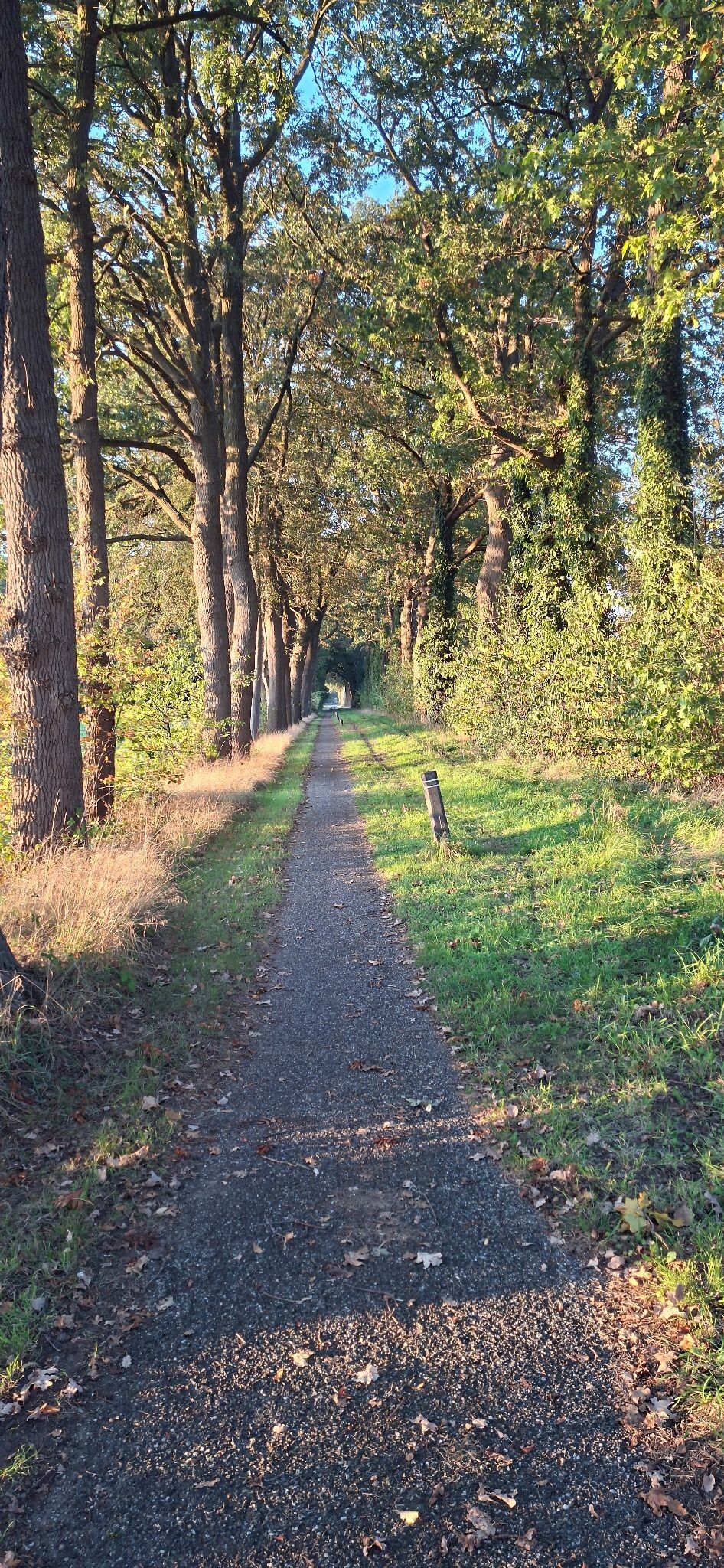 Zelhem