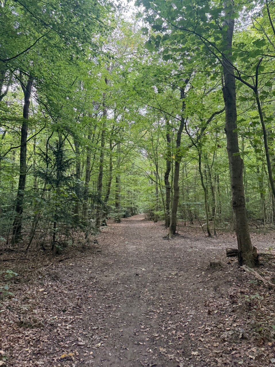 Beverwijk