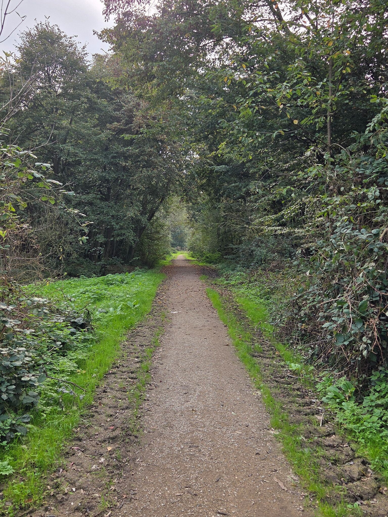Wandelroute Bieslandroute