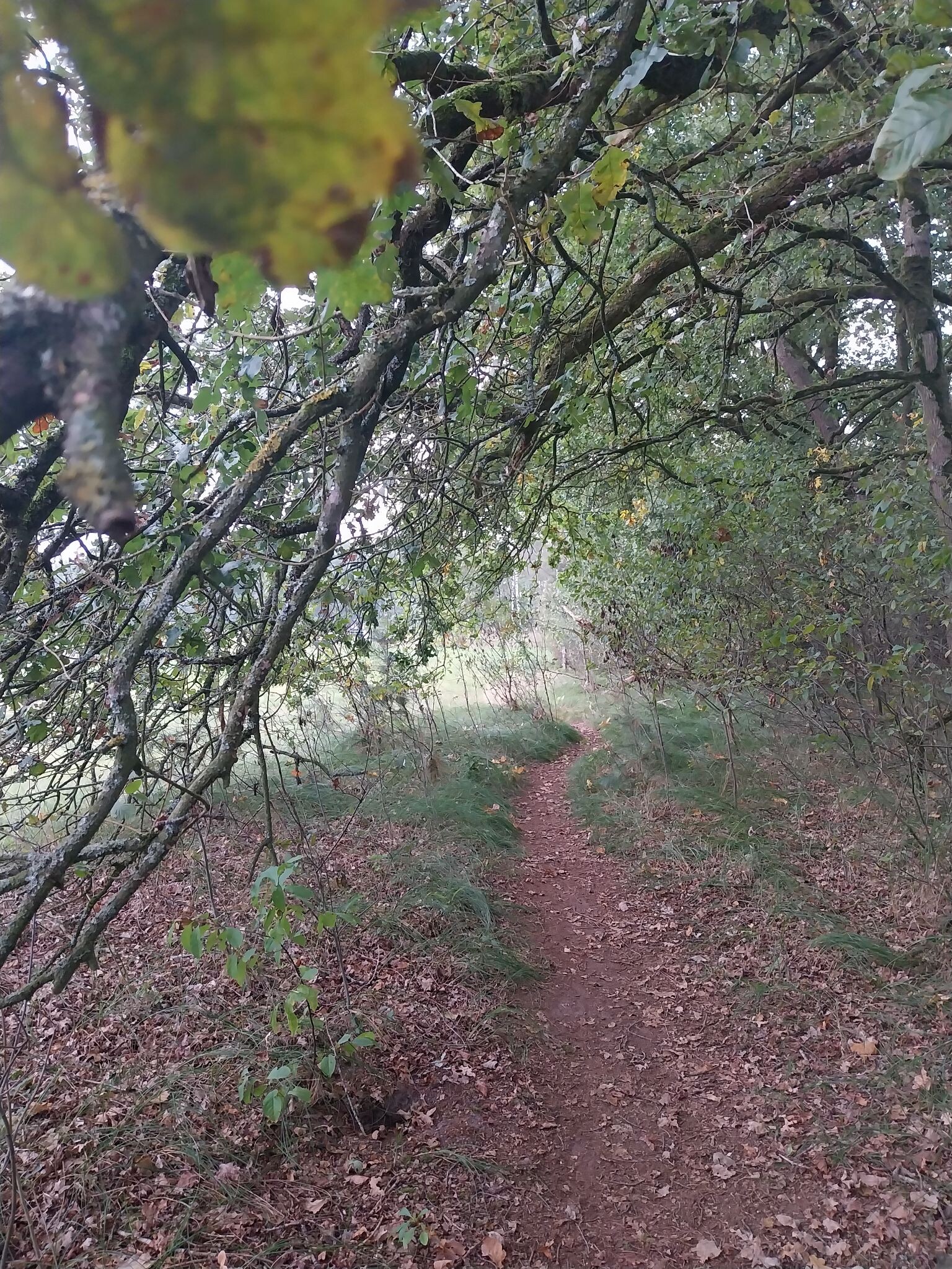 Wandelroute 'Ree' van 24 km 