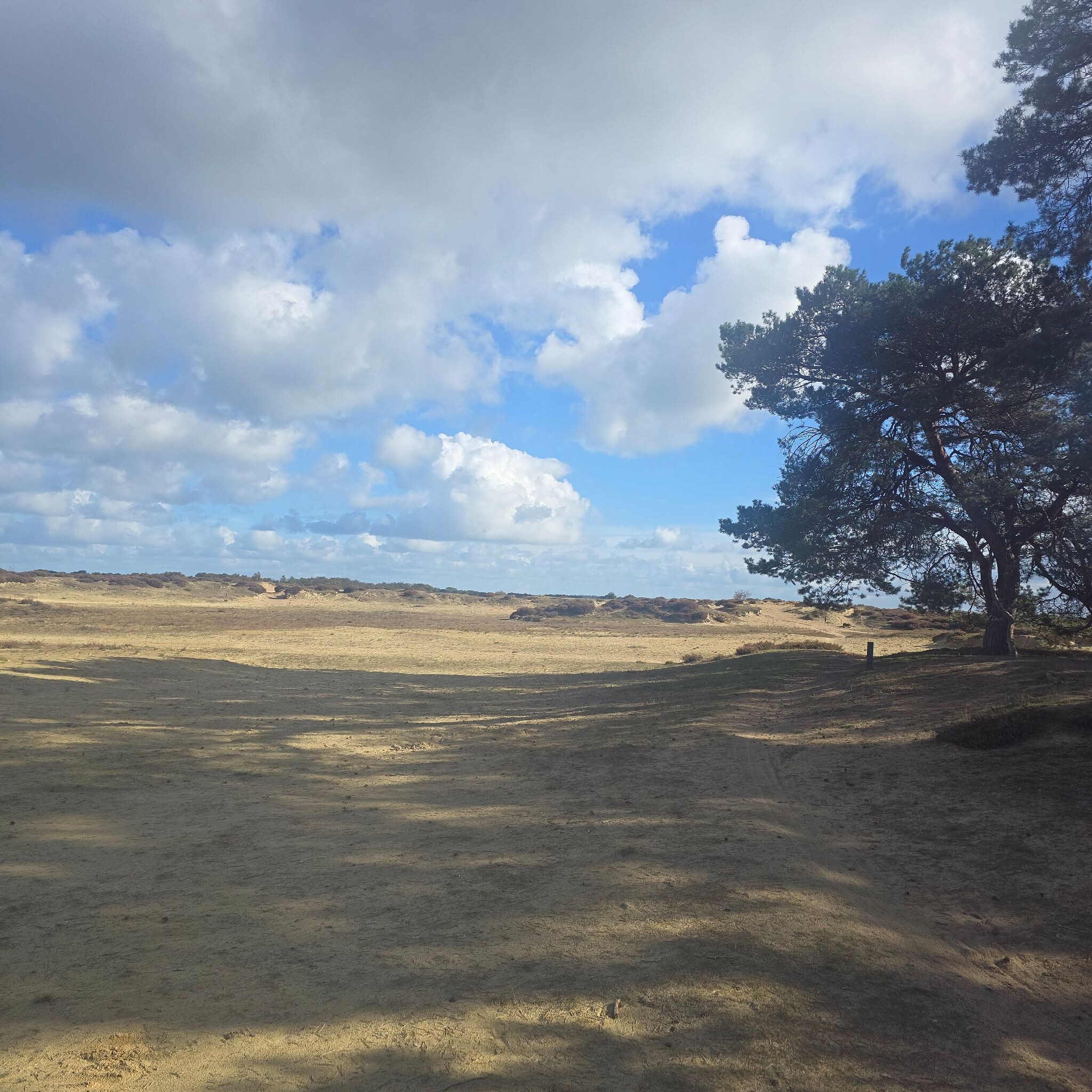 Balloo: Balloërveld
