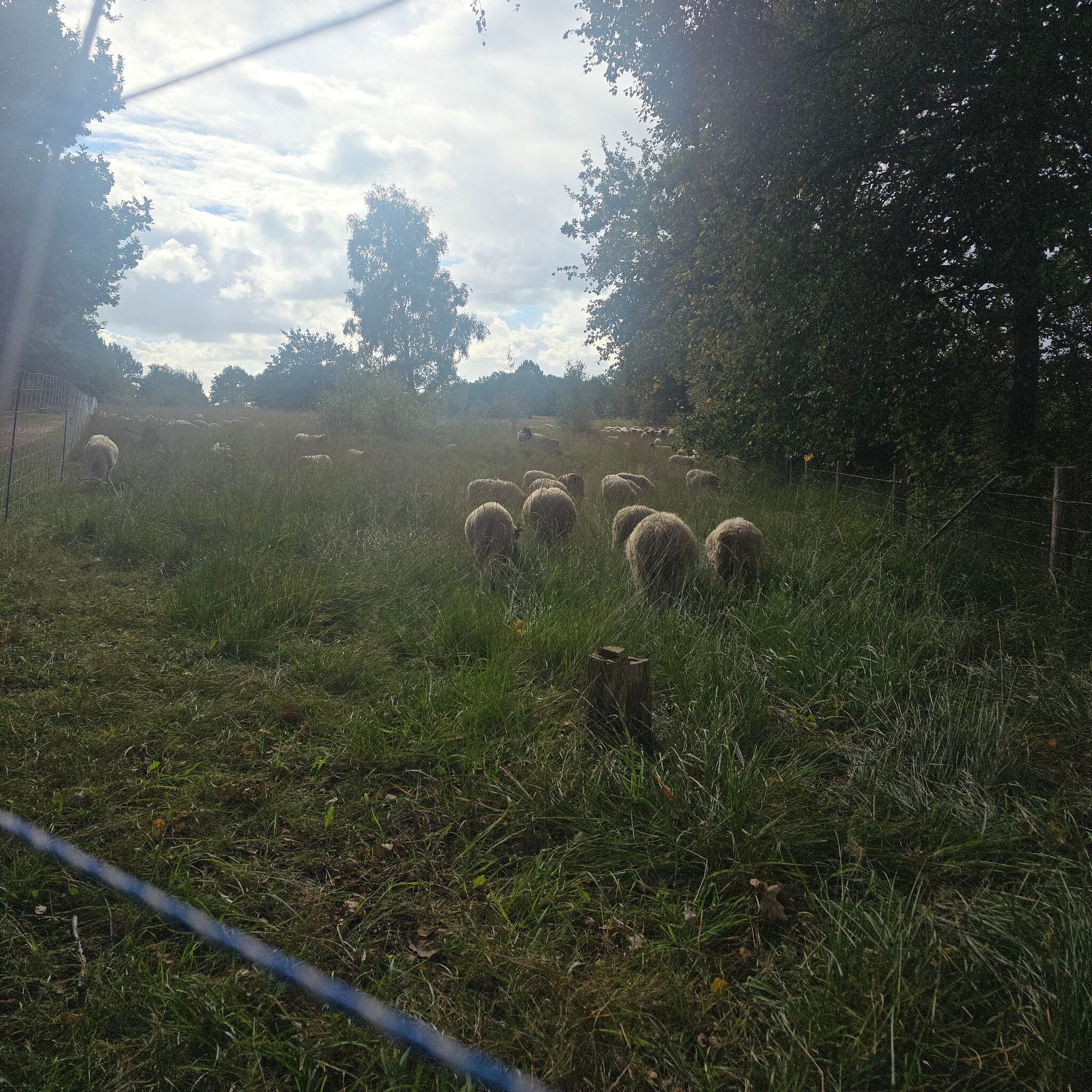 Rolde: Barbizon van het Noorden