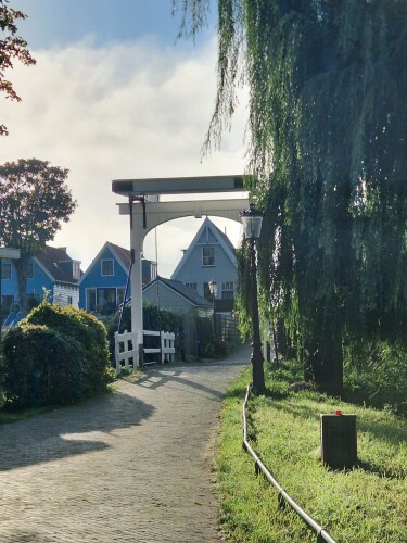 Trekvogelpad