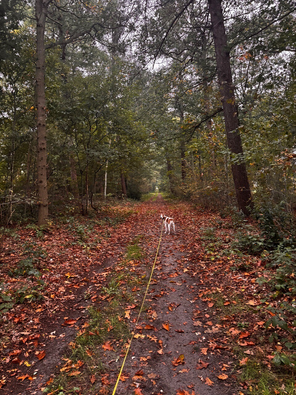 Foto van opname
