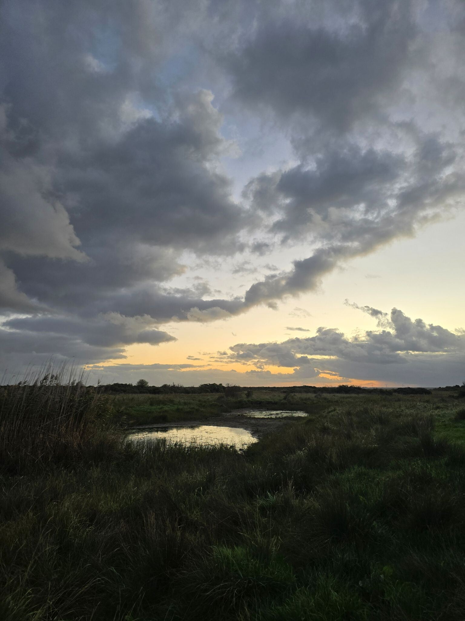 Ouddorp naar Rockanje - "De Kraan" · NederRandpad etappe 61