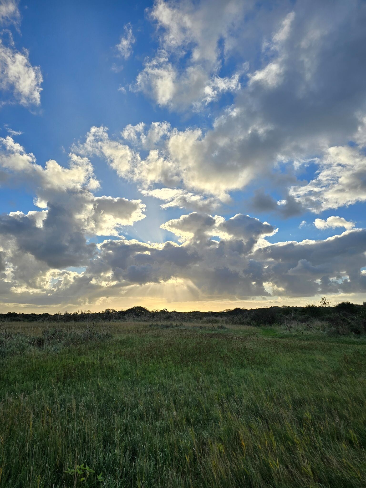 Dwalen in de Kwade Hoek van Goeree Overvlakkee